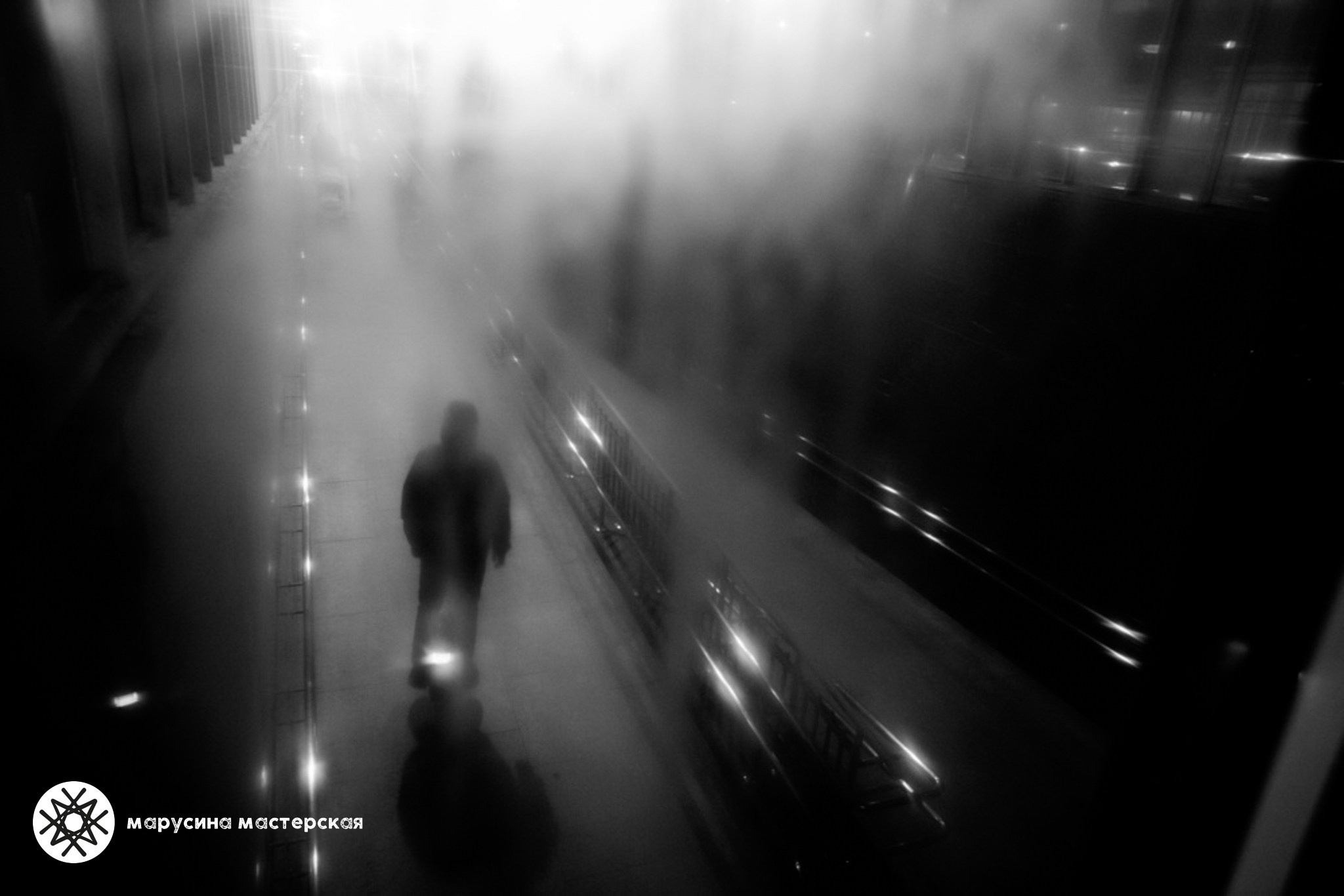 Вероника Новикова