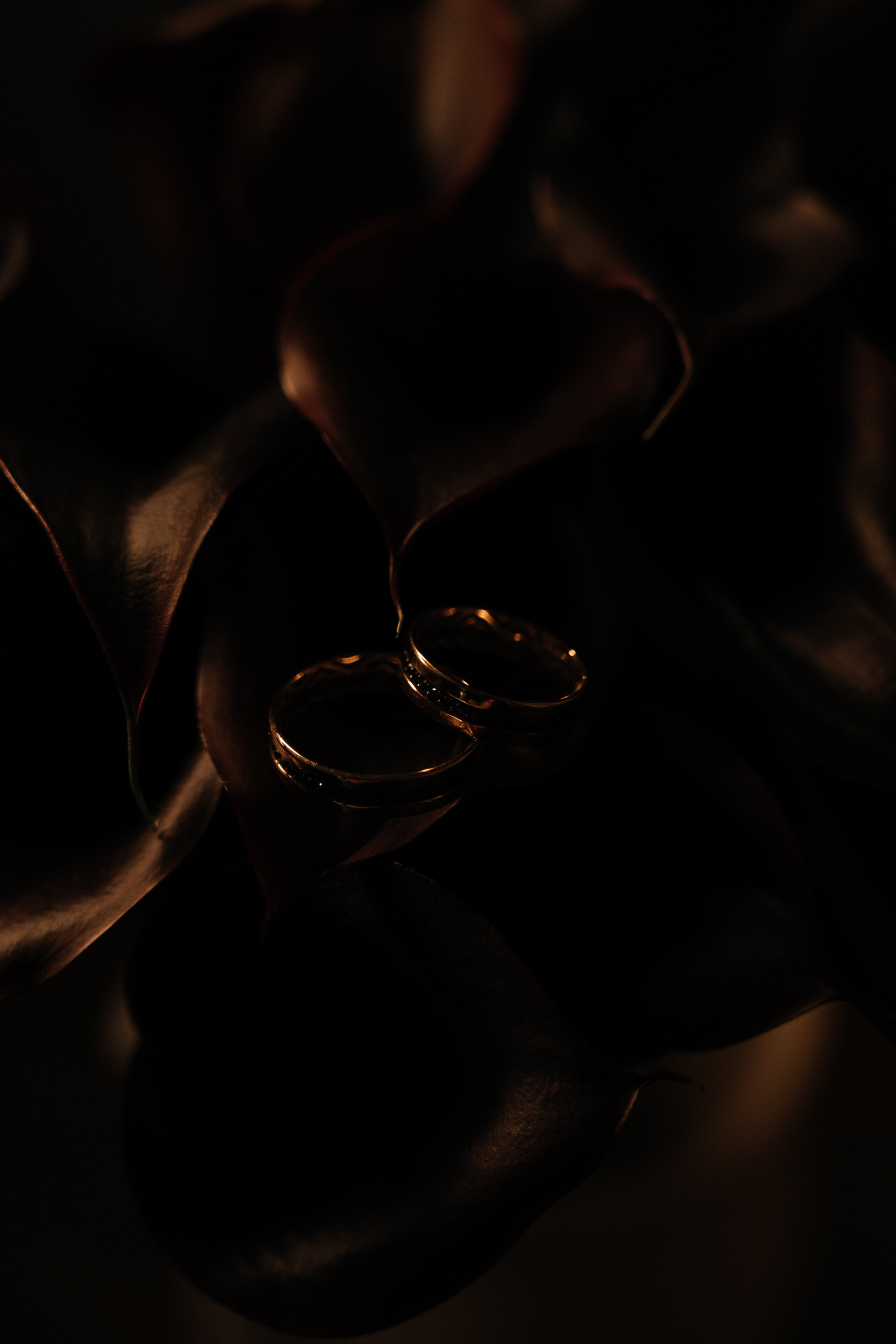 Алена и Вячеслав. Портретный и Свадебный фотограф Юлия Bizarrko