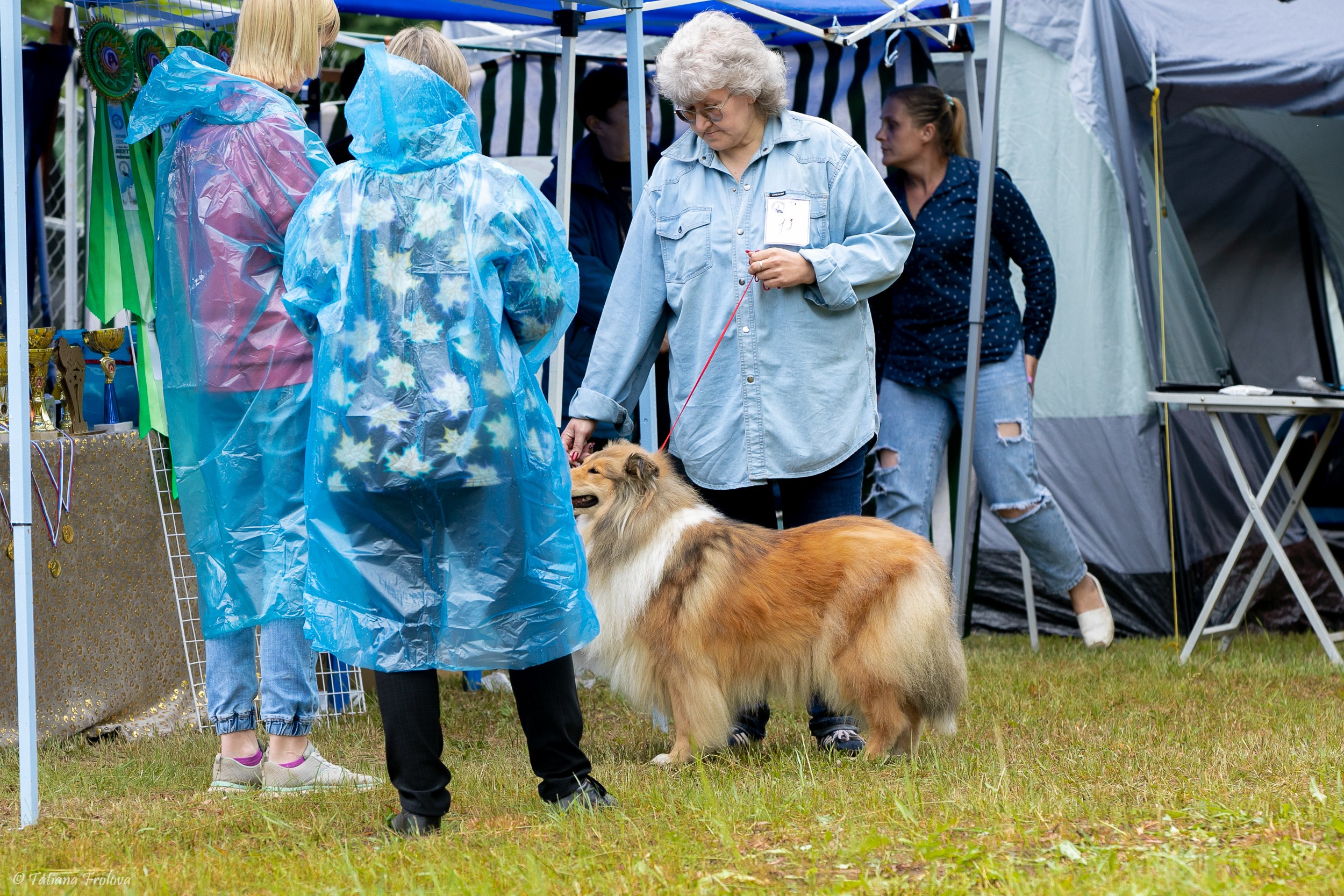 Фотосопровождение выставки собак в Московской области и Москве. Фотограф-анималист в Москве и Московской области Татьяна Фролова