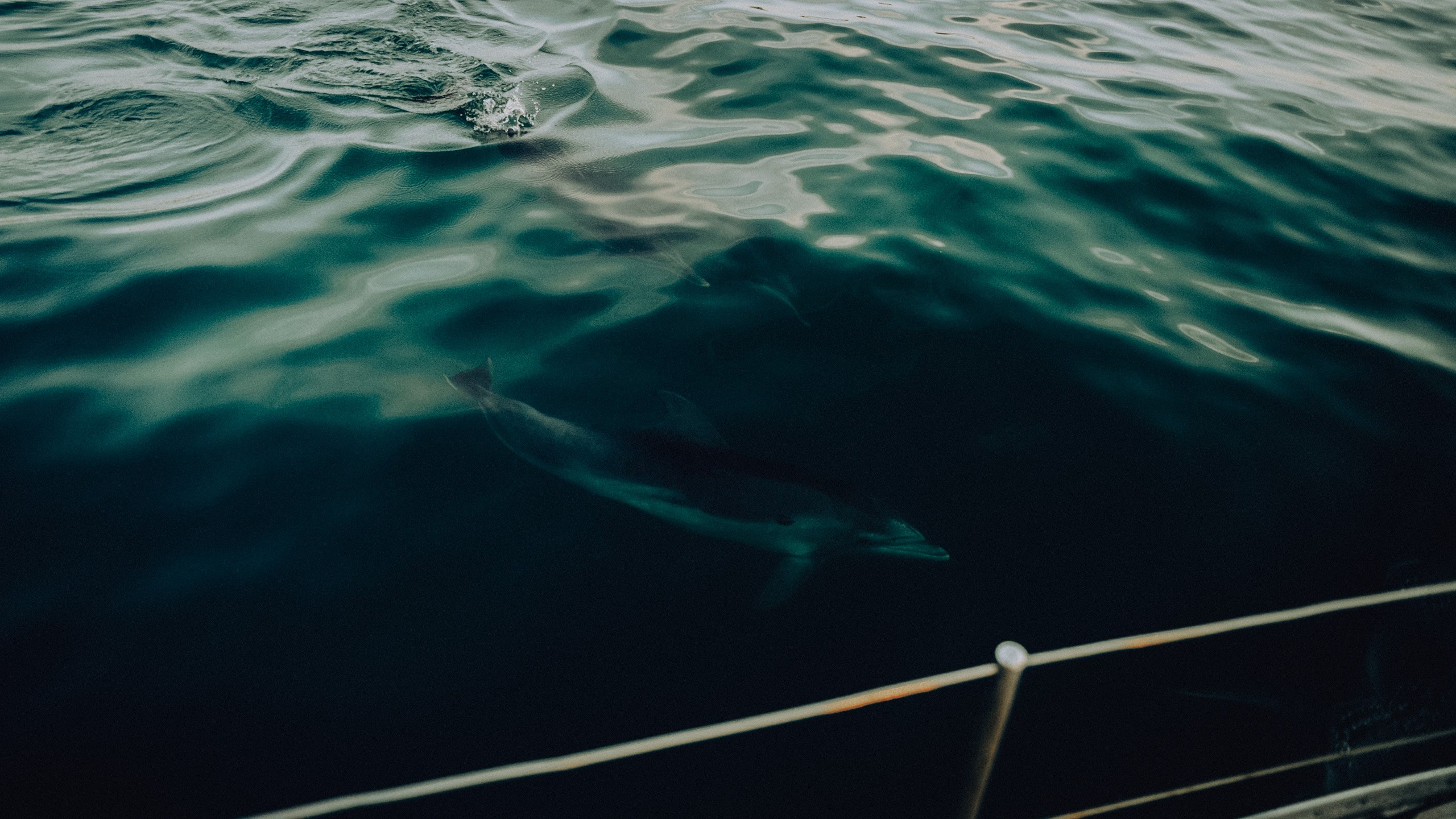 На яхте Геленджик. Фотограф и Видеограф Анапа, Новороссийск, Краснодар. Алина и Женя