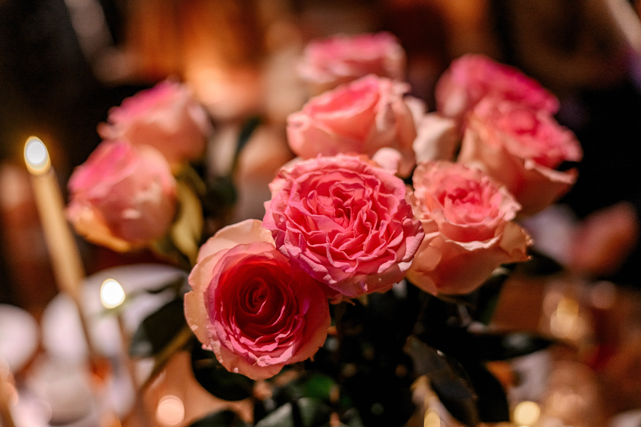 Chamovskikh Jewellery House. Максим Комаров — Профессиональный фотограф