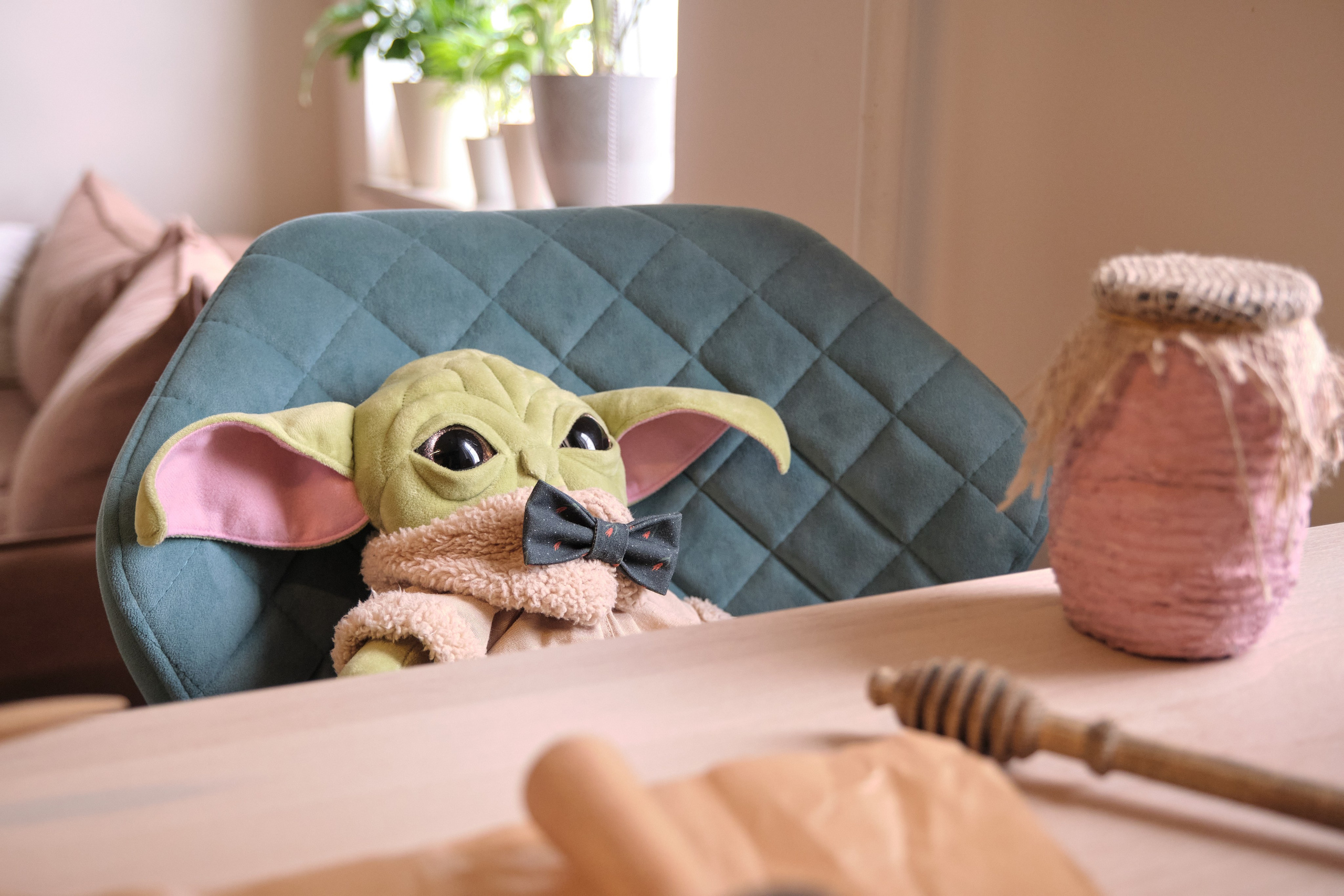 Семья Анастасии