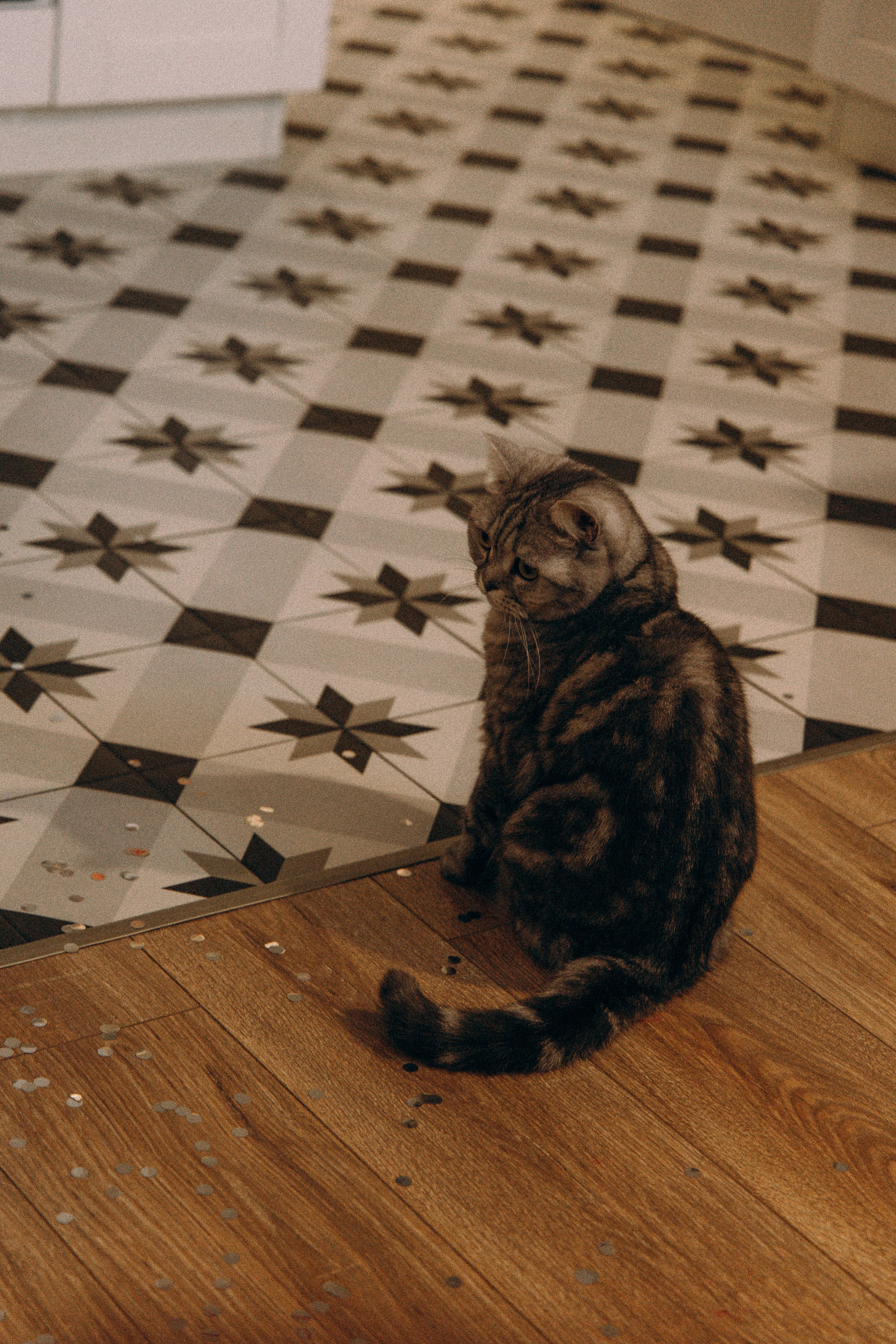 Таня, Кирилл и Мия. Свадебный и семейный фотограф в Вологде Екатерина Назарина