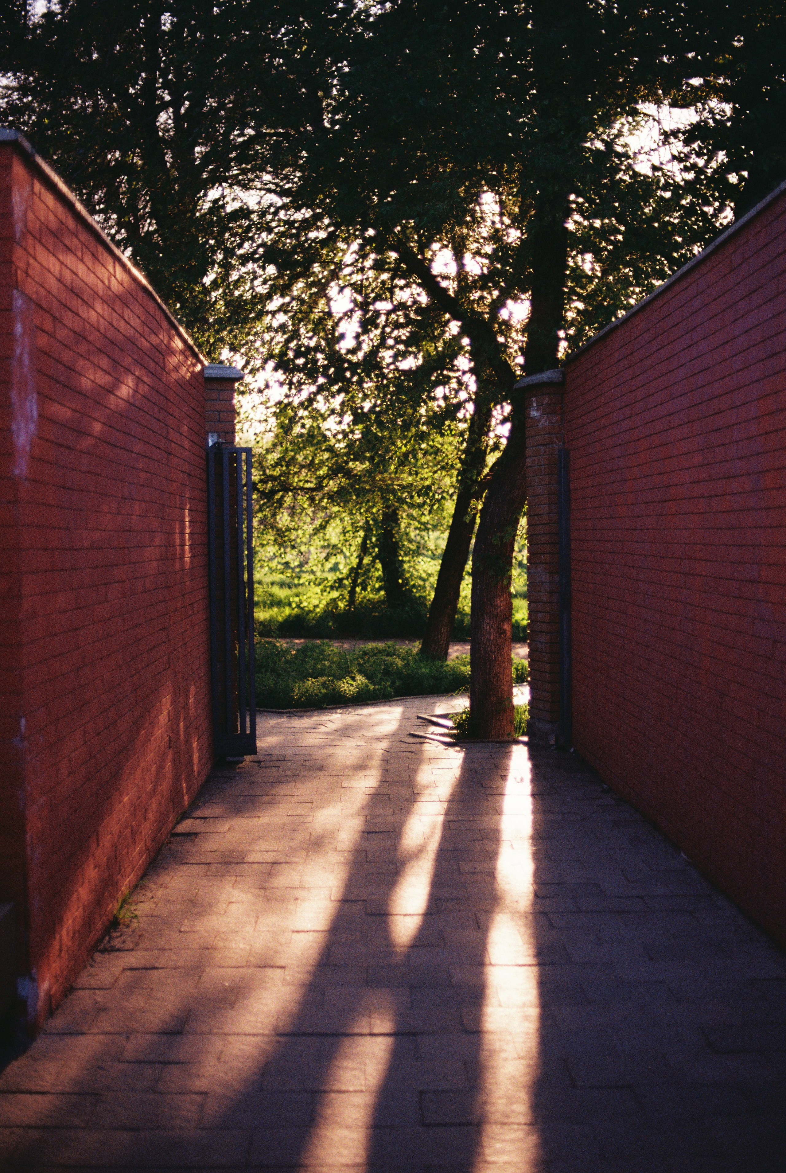 Ботанический сад, апрель 2026. Репортажный и портретный фотограф в Алматы — Дарья Фёдорова