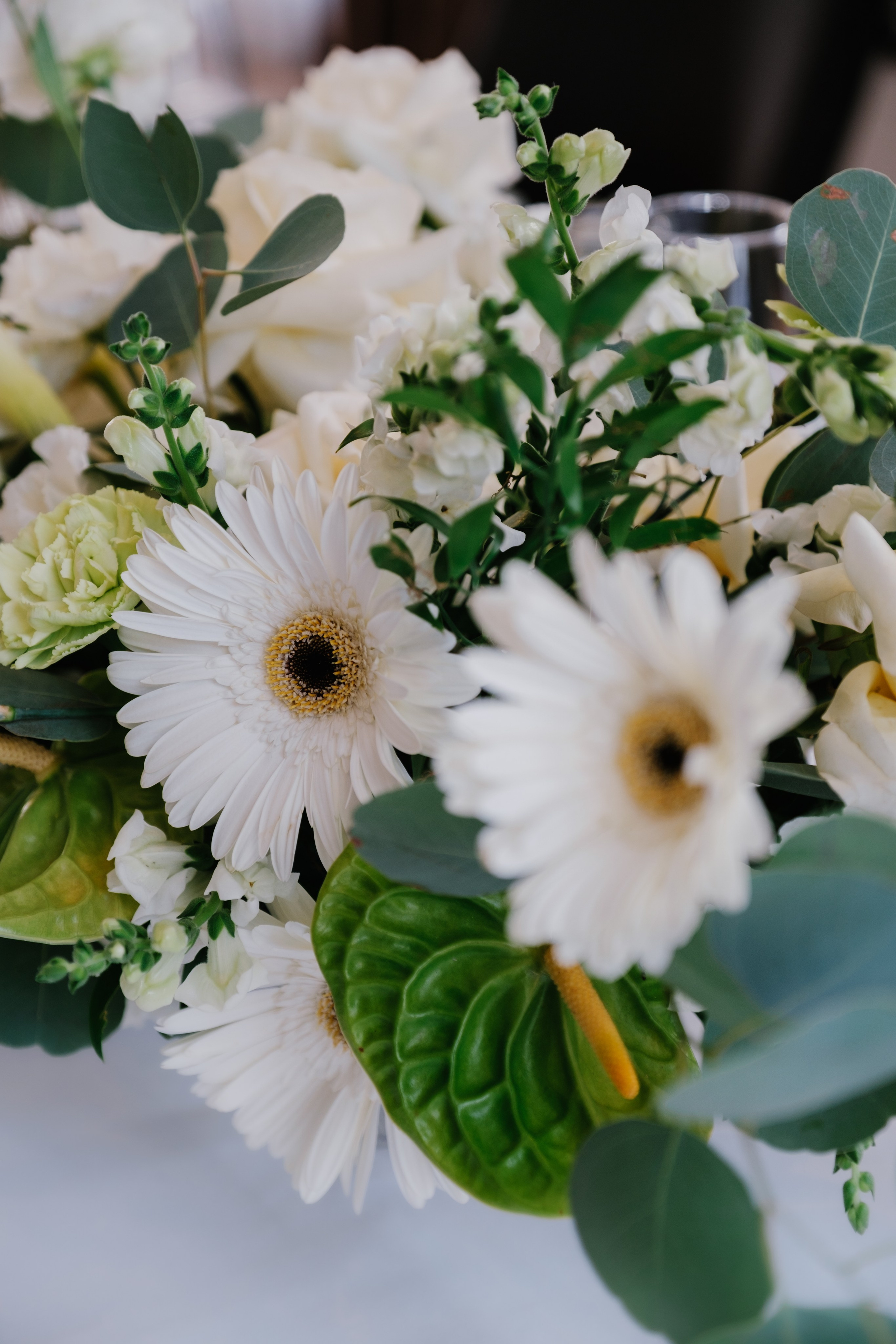 Виктория / Евгений. Свадебный Видеограф Фотограф в Сочи