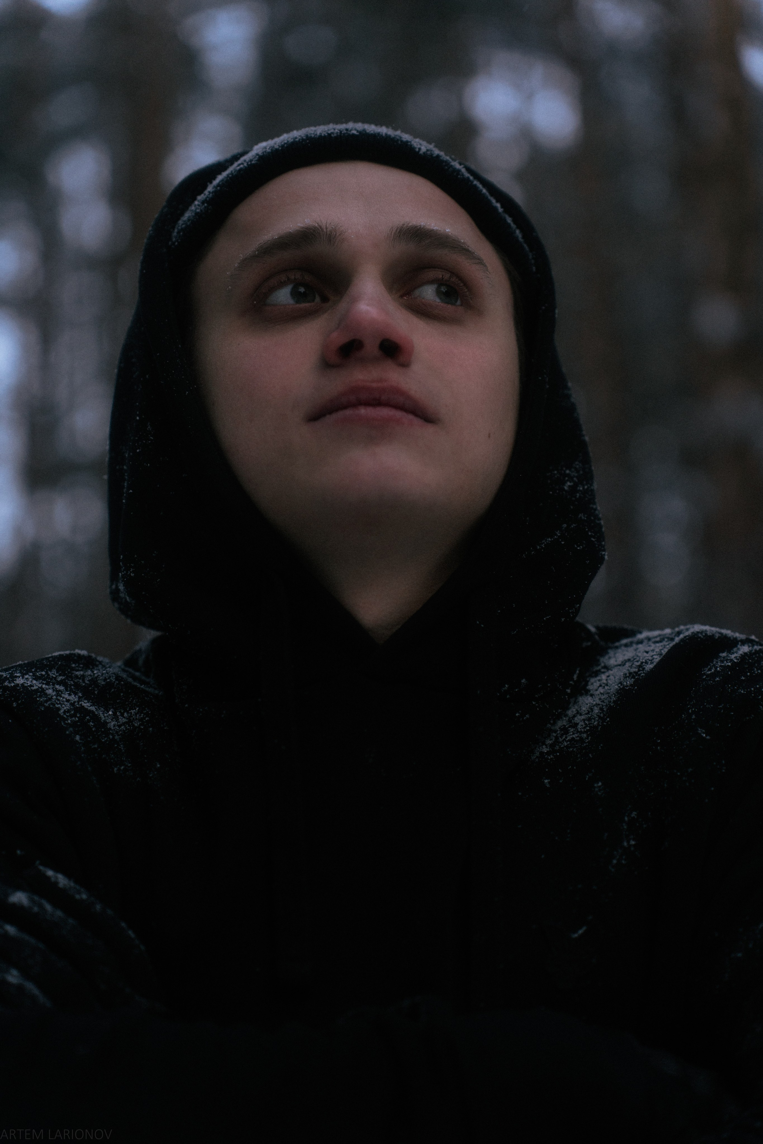 Снежный лес. Фотограф Артем Ларионов