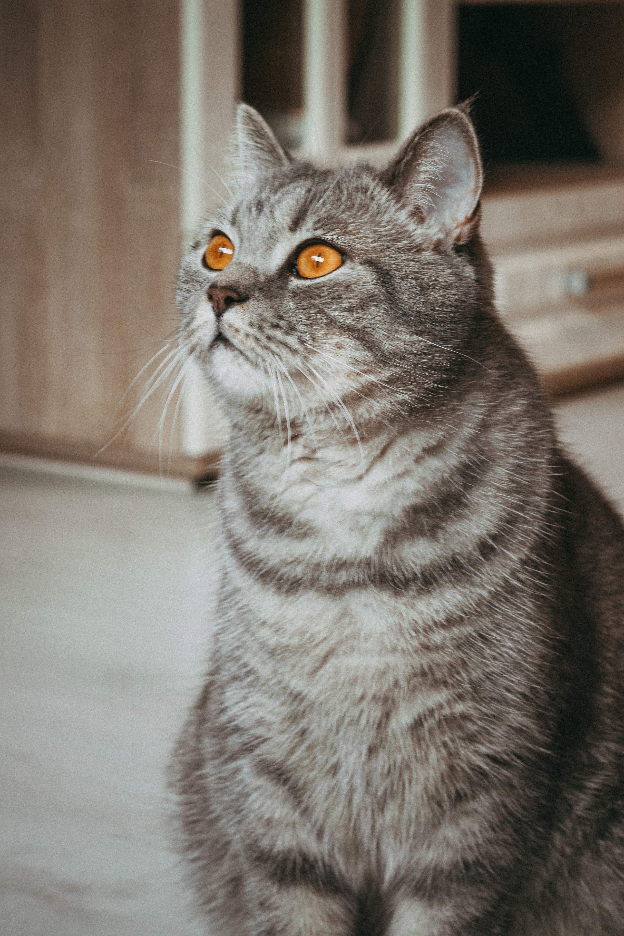 М А Р Т И Н. — Digital Noise —