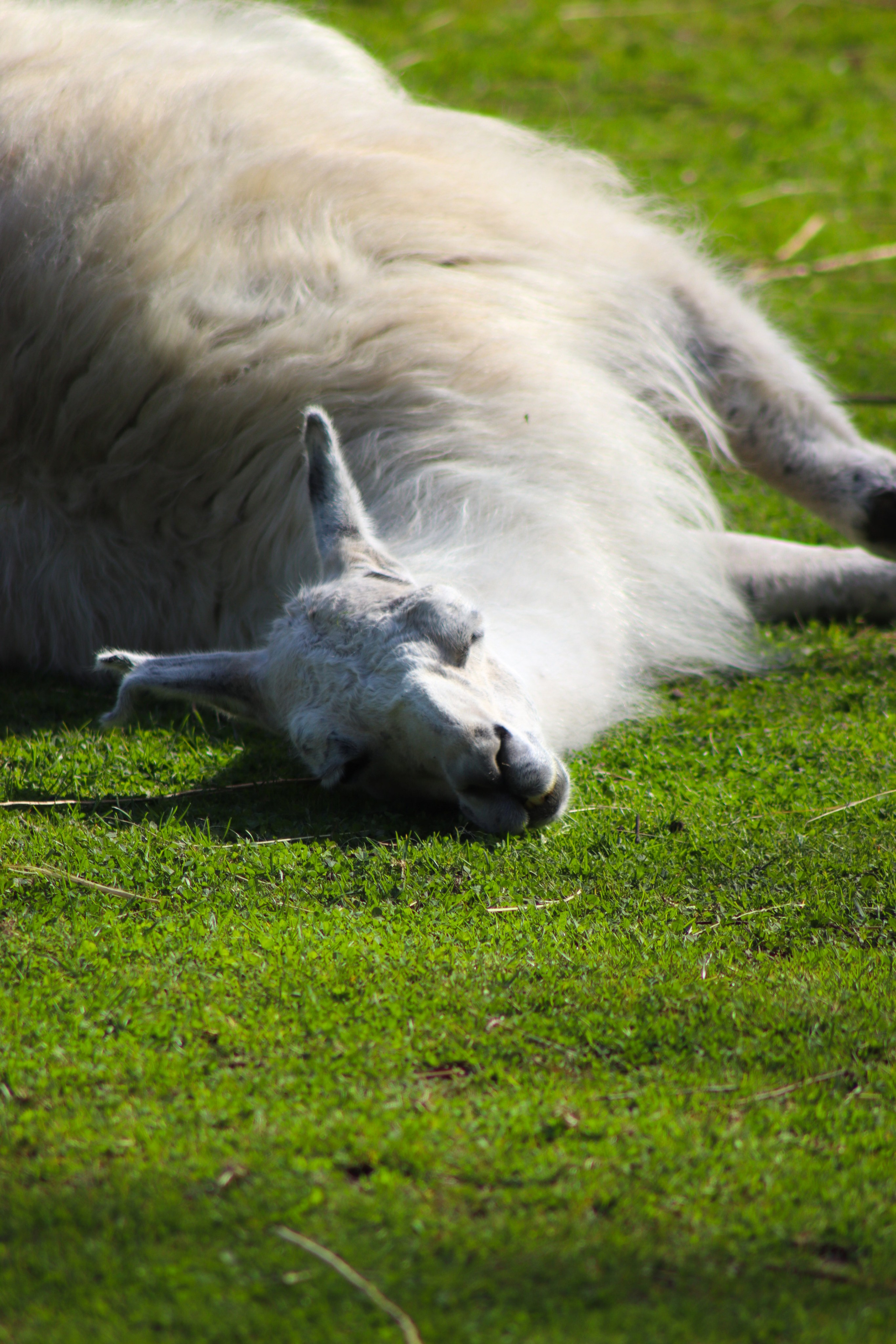 Р А З Н А Я — Ж И В Н О С Т Ь. — Digital Noise —