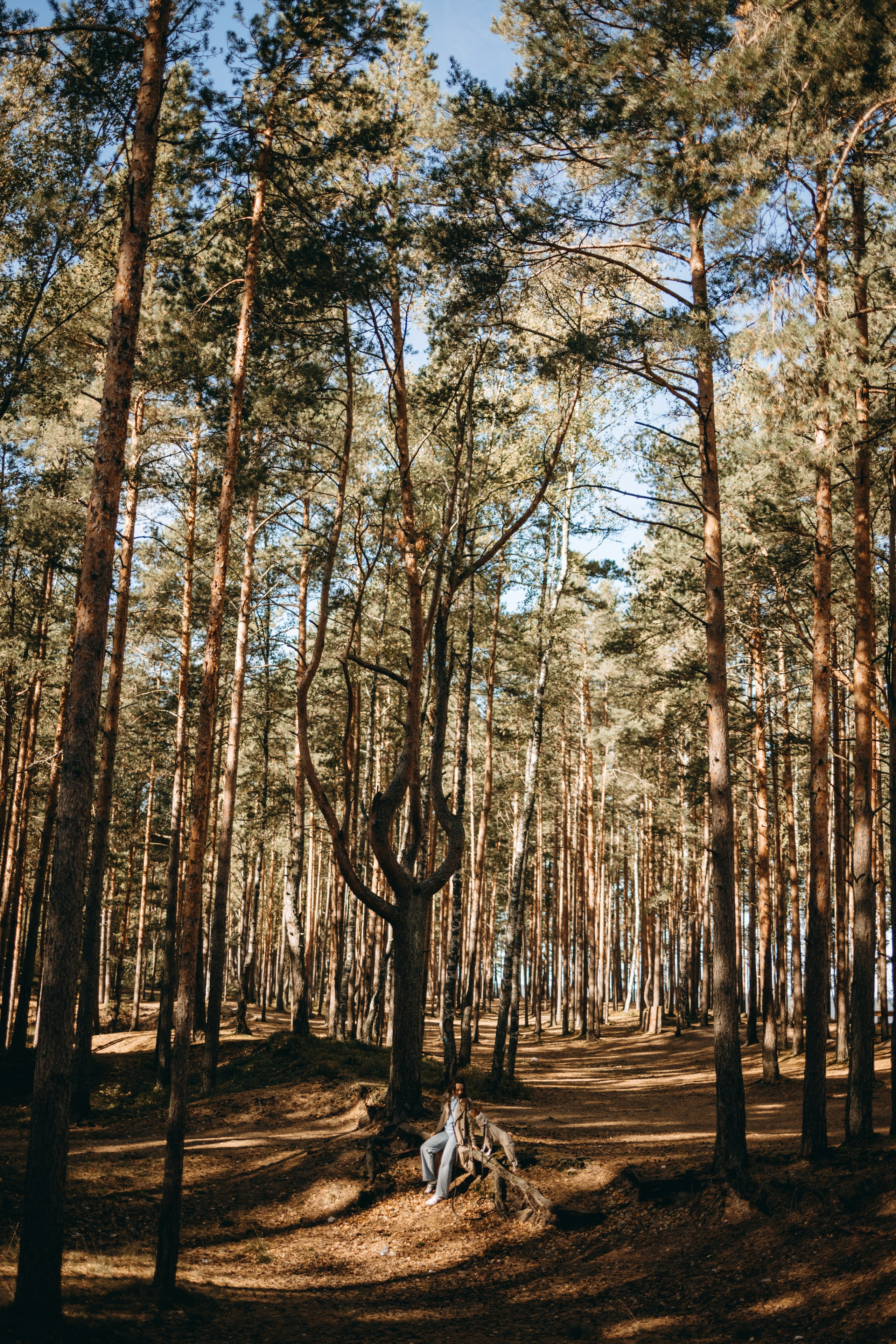 Алиса и Лео. Фотограф — Анималист | Санкт-Петербург