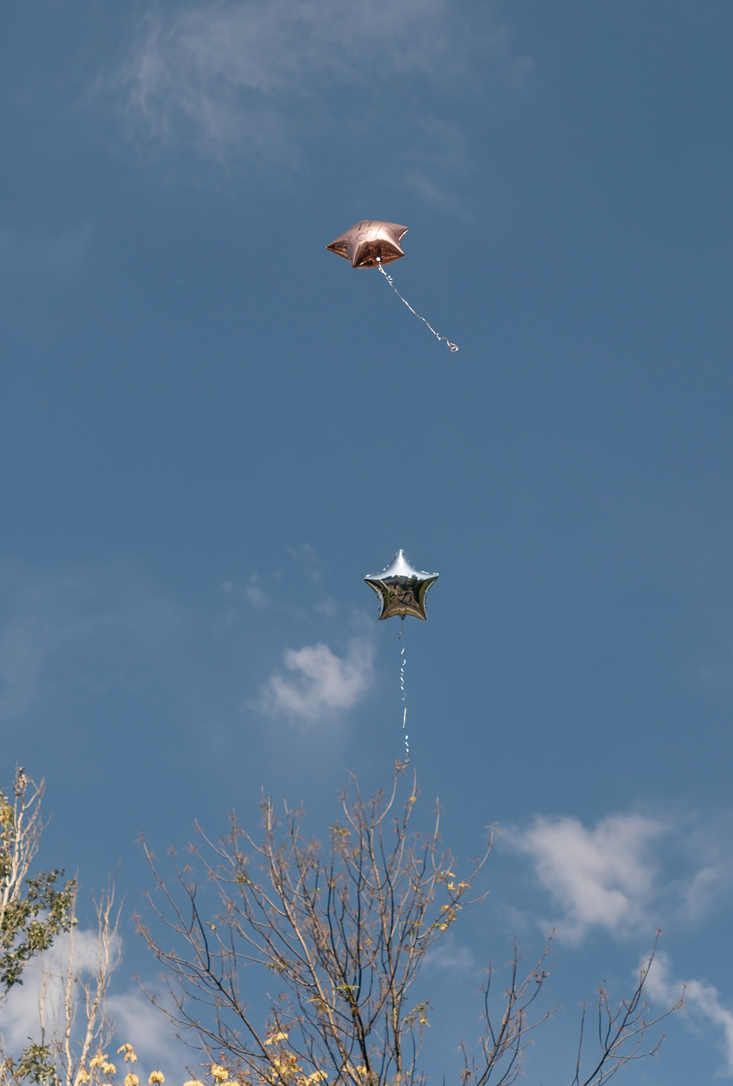 Школьные выпускные, линейки, банкеты. Семейный и LifeStyle фотограф в Жигулевске и Тольятти Рустам Ханмурзин