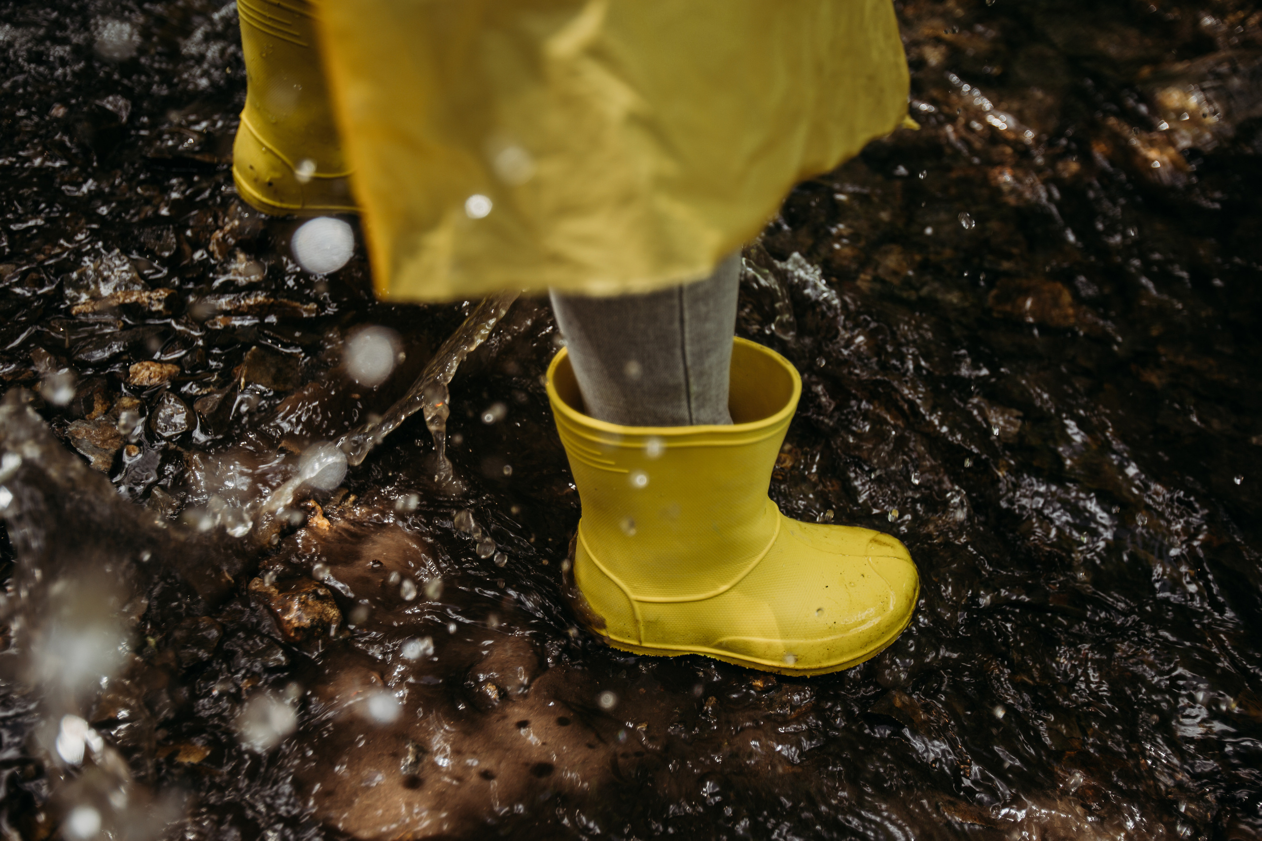 Дождевики. Фотограф Красноярск Рукосуева Катерина