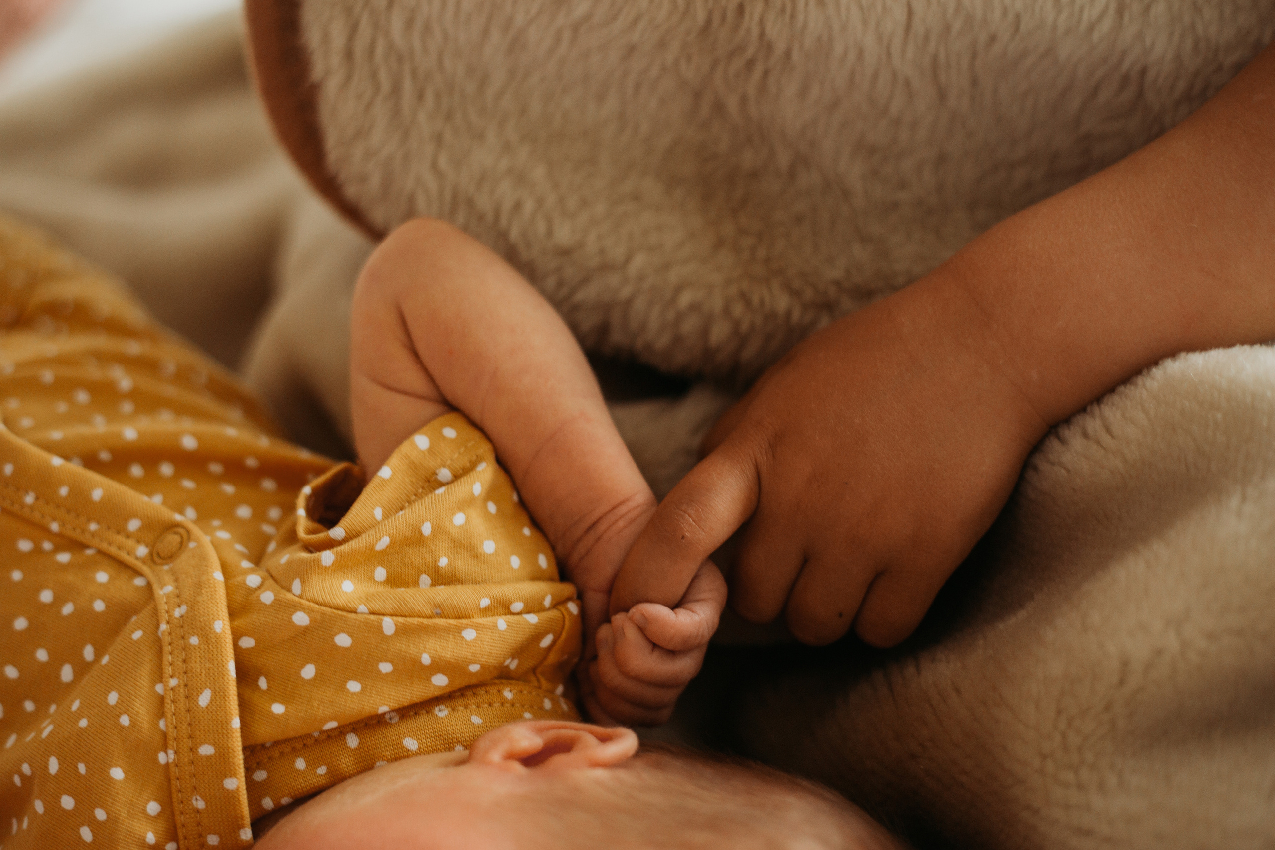 Первый месяц малышки. Фотограф Красноярск Рукосуева Катерина