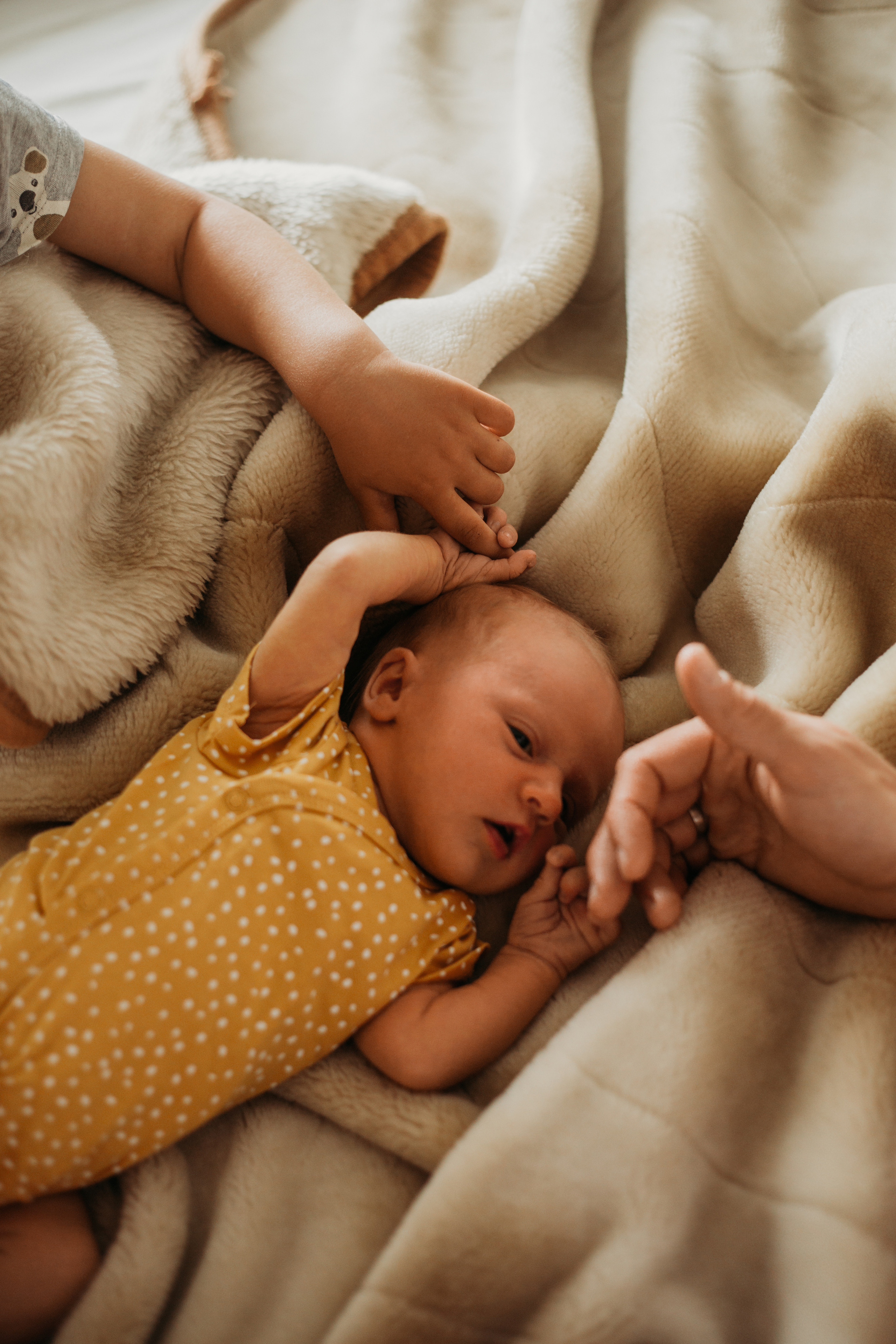 Первый месяц малышки. Фотограф Красноярск Рукосуева Катерина