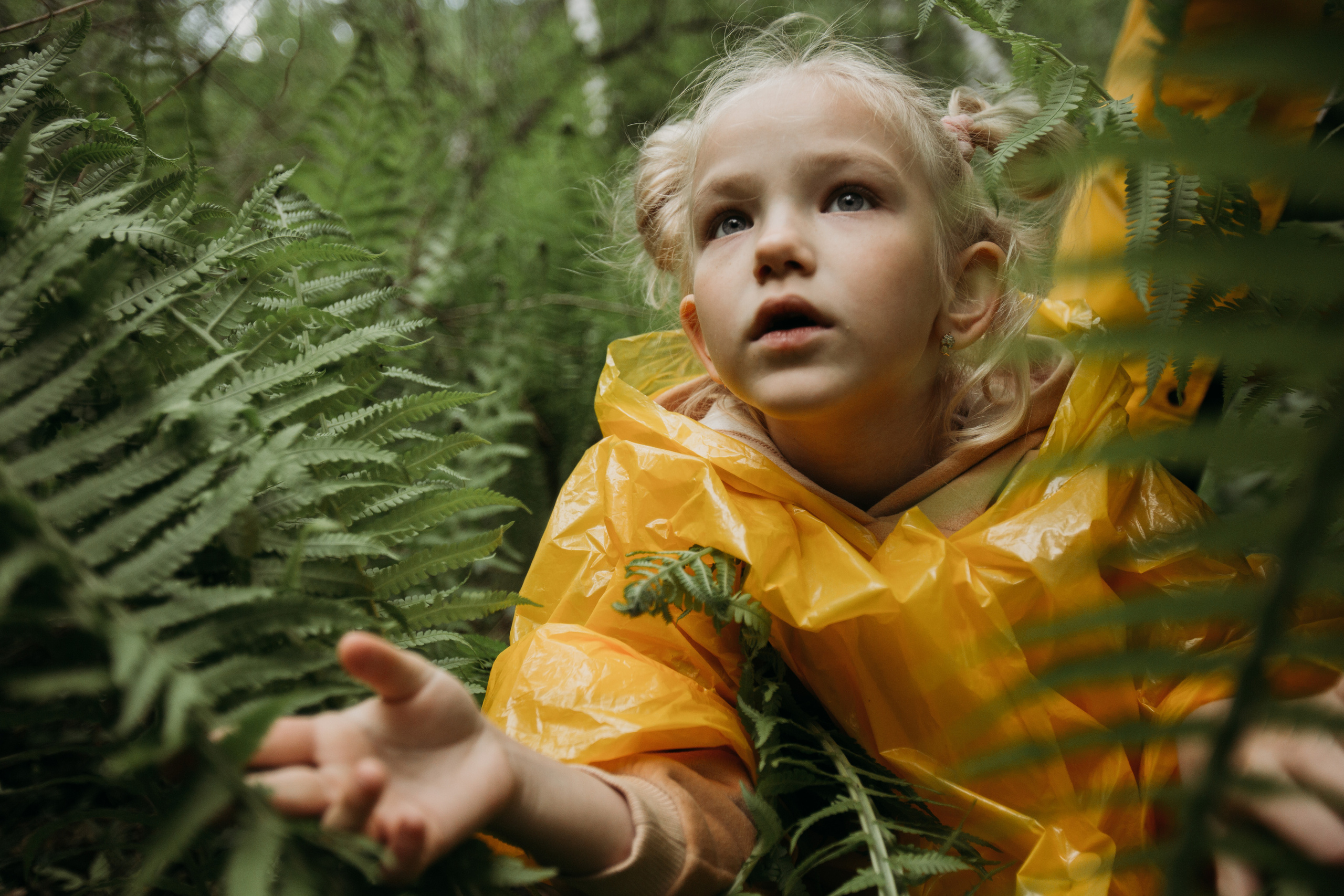 Дождевики. Фотограф Красноярск Рукосуева Катерина