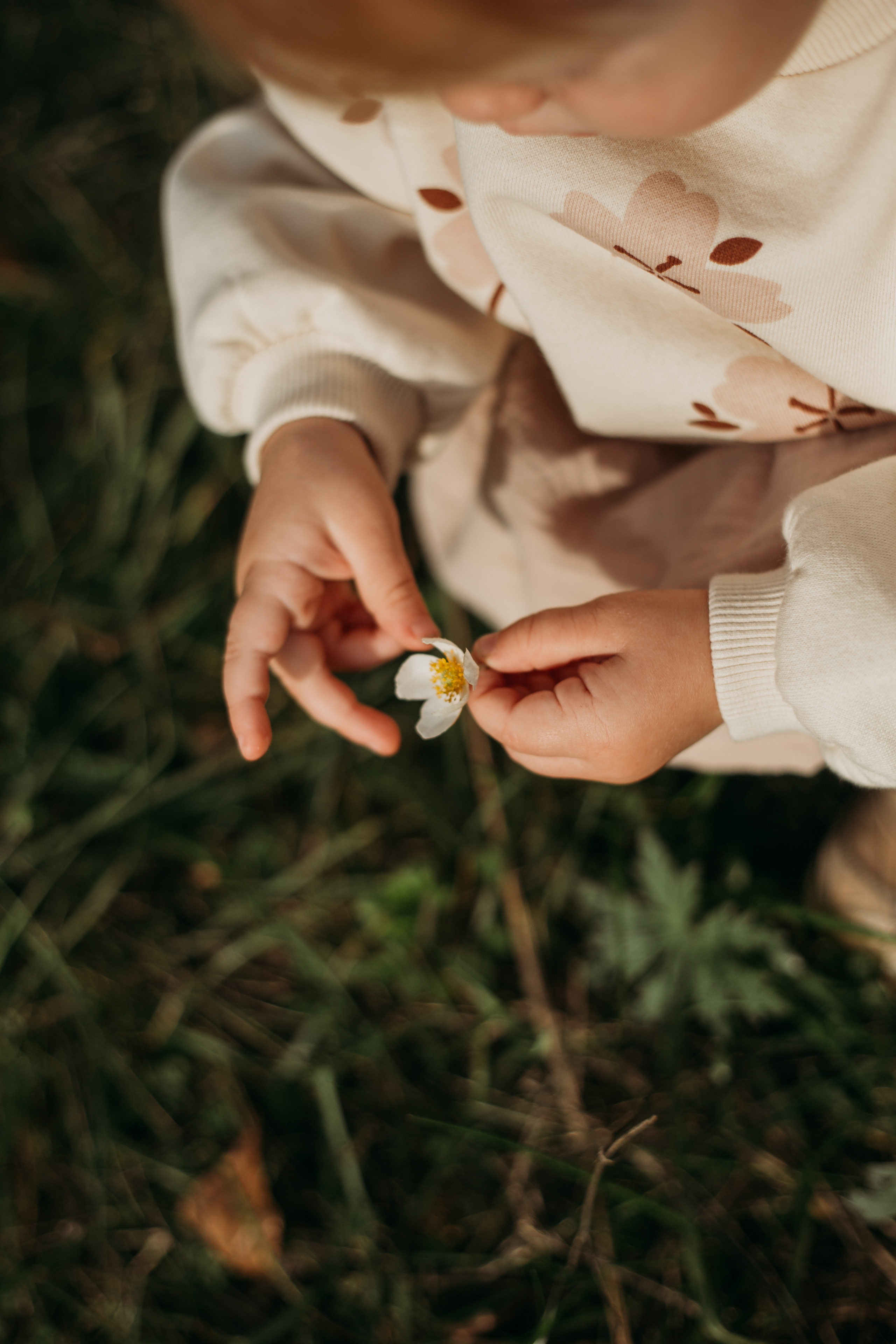 Ранняя осень. Фотограф Красноярск Рукосуева Катерина