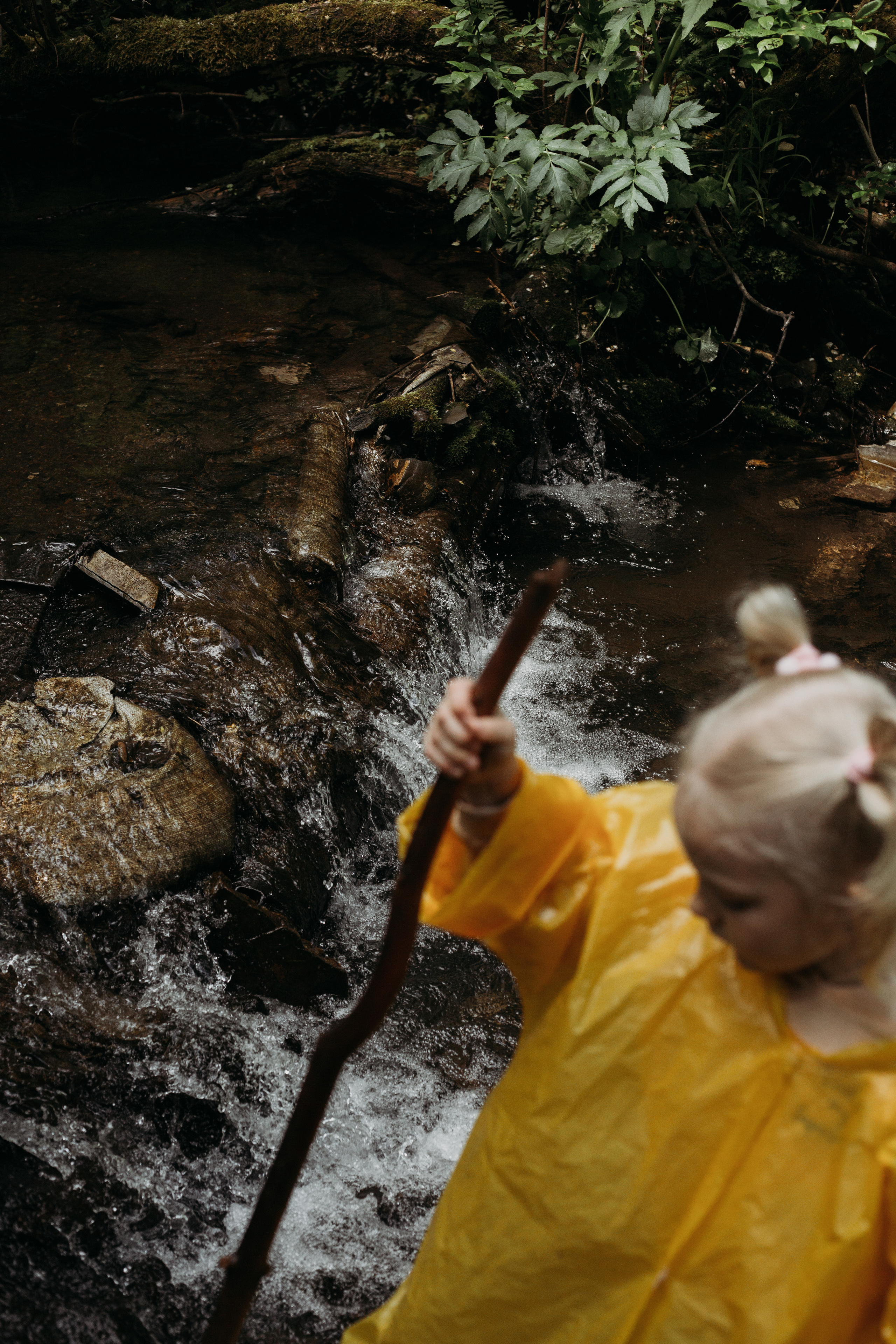 Дождевики. Фотограф Красноярск Рукосуева Катерина