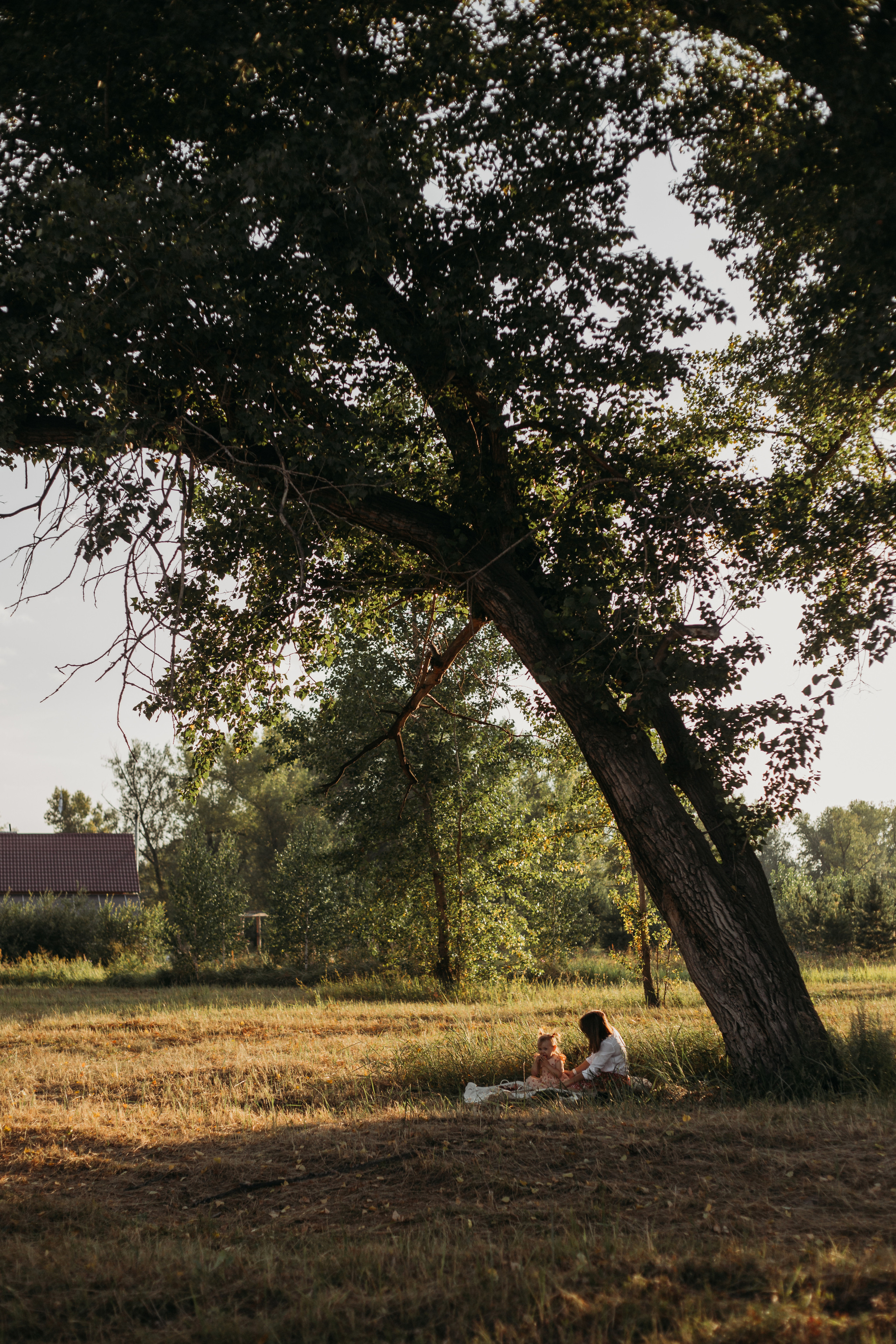 Летние закаты. Фотограф Красноярск Рукосуева Катерина