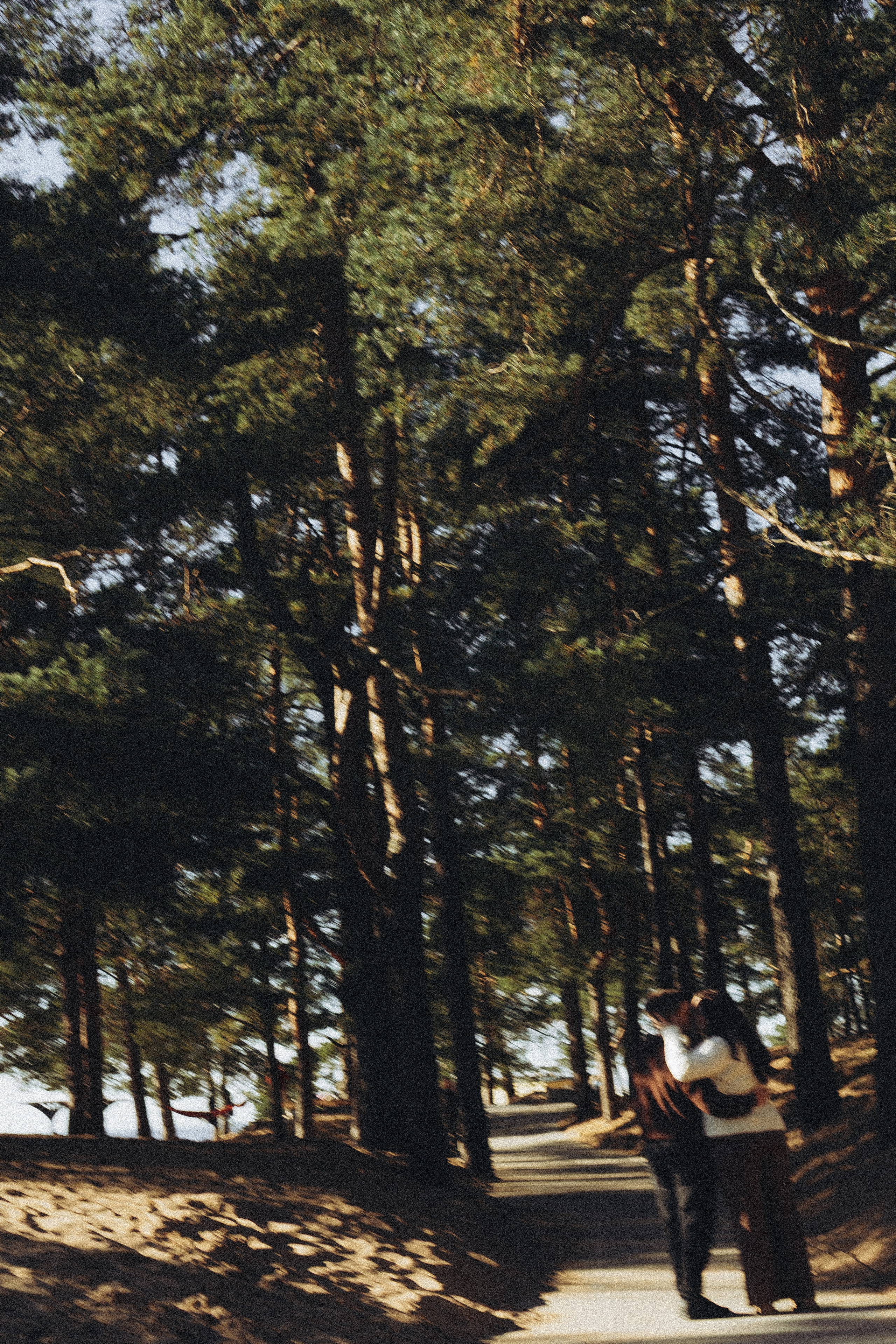 Прогулка по Финскому заливу. Профессиональный фотограф, Санкт-Петербург — Виктория Богомолова