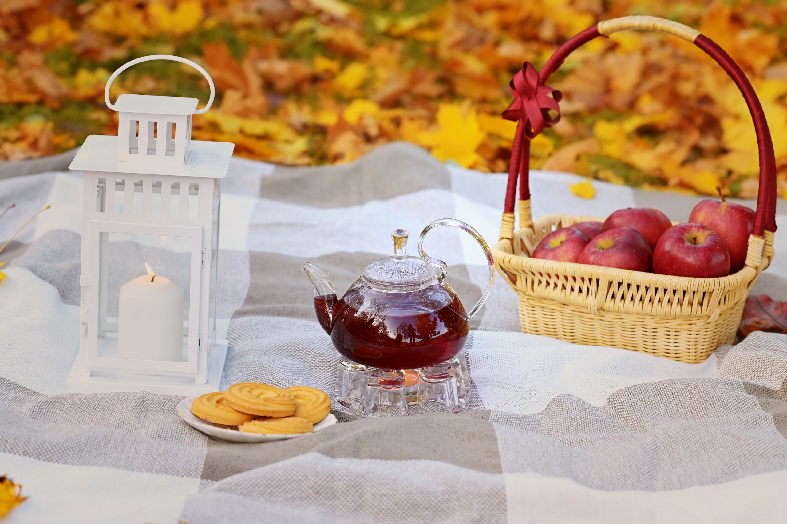 Осенние фотосессии. Свадебный и семейный фотограф в Москве и Подмосковье Татьяна Емцова