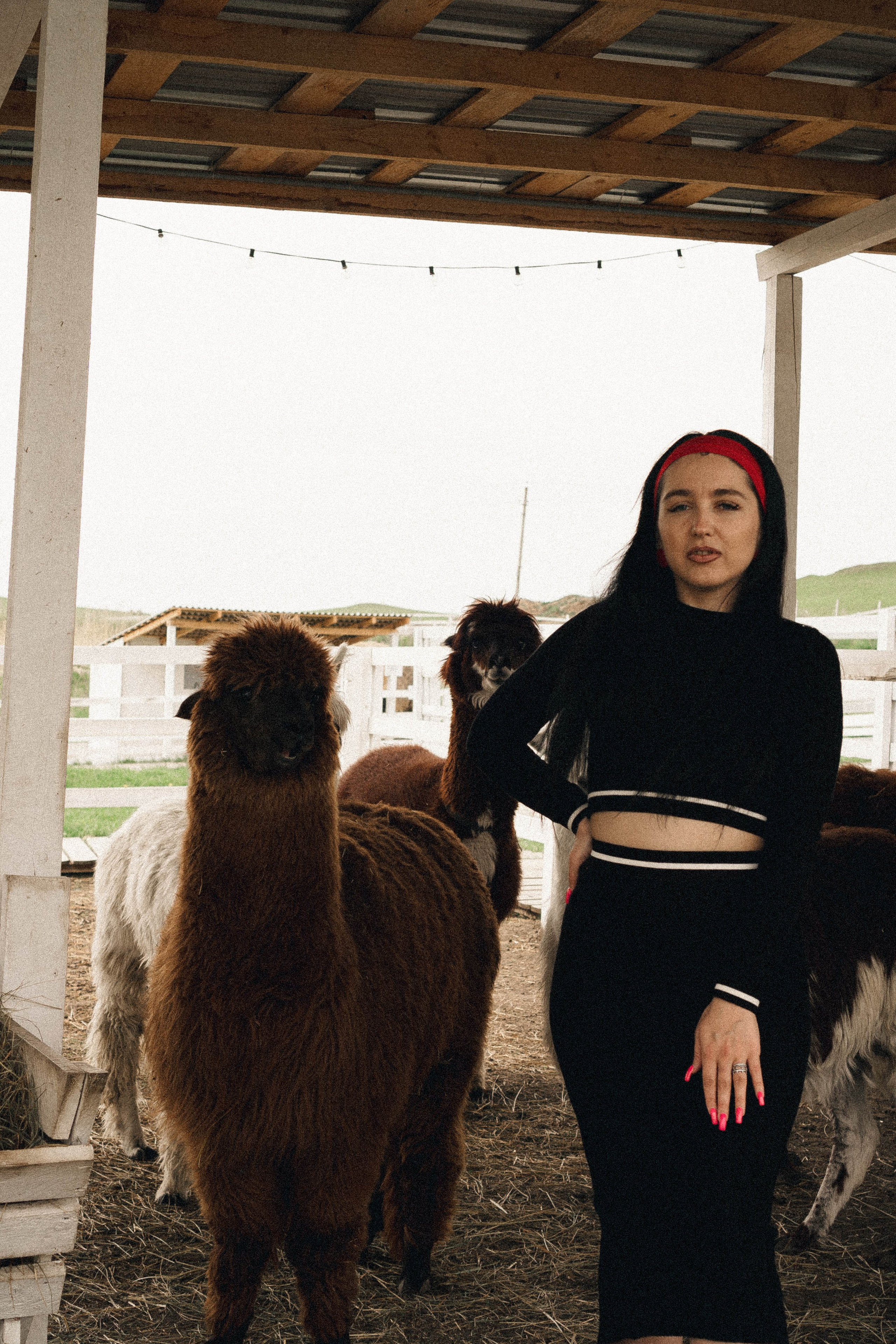 Ферма Альпак. Профессиональный фотограф, Санкт-Петербург — Виктория Богомолова