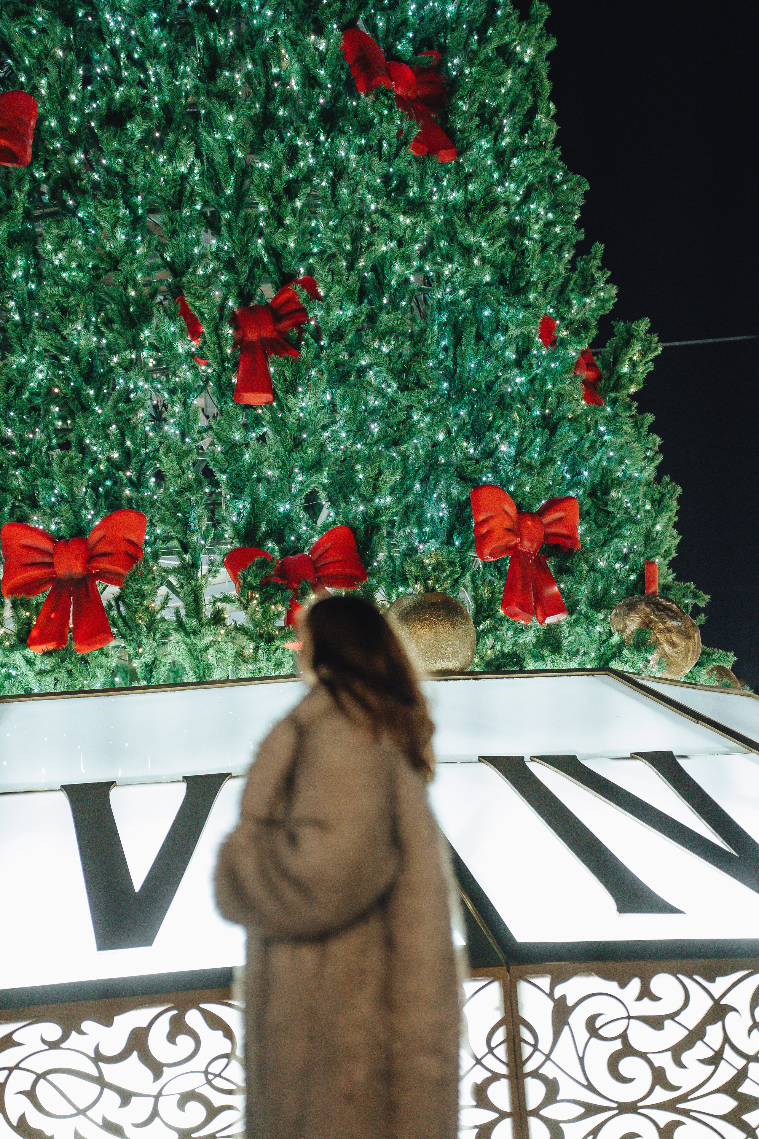 ПРОГУЛКА НА МАНЕЖНОЙ ПЛОЩАДИ ДЛЯ ДЕВУШКИ ПЕРЕД НОВЫМ ГОДОМ (НОВОГОДНЯЯ ФОТОСЕССИИЯ НА МАНЕЖНОЙ ПЛОЩАДИ). Профессиональный фотограф, Санкт-Петербург — Виктория Богомолова