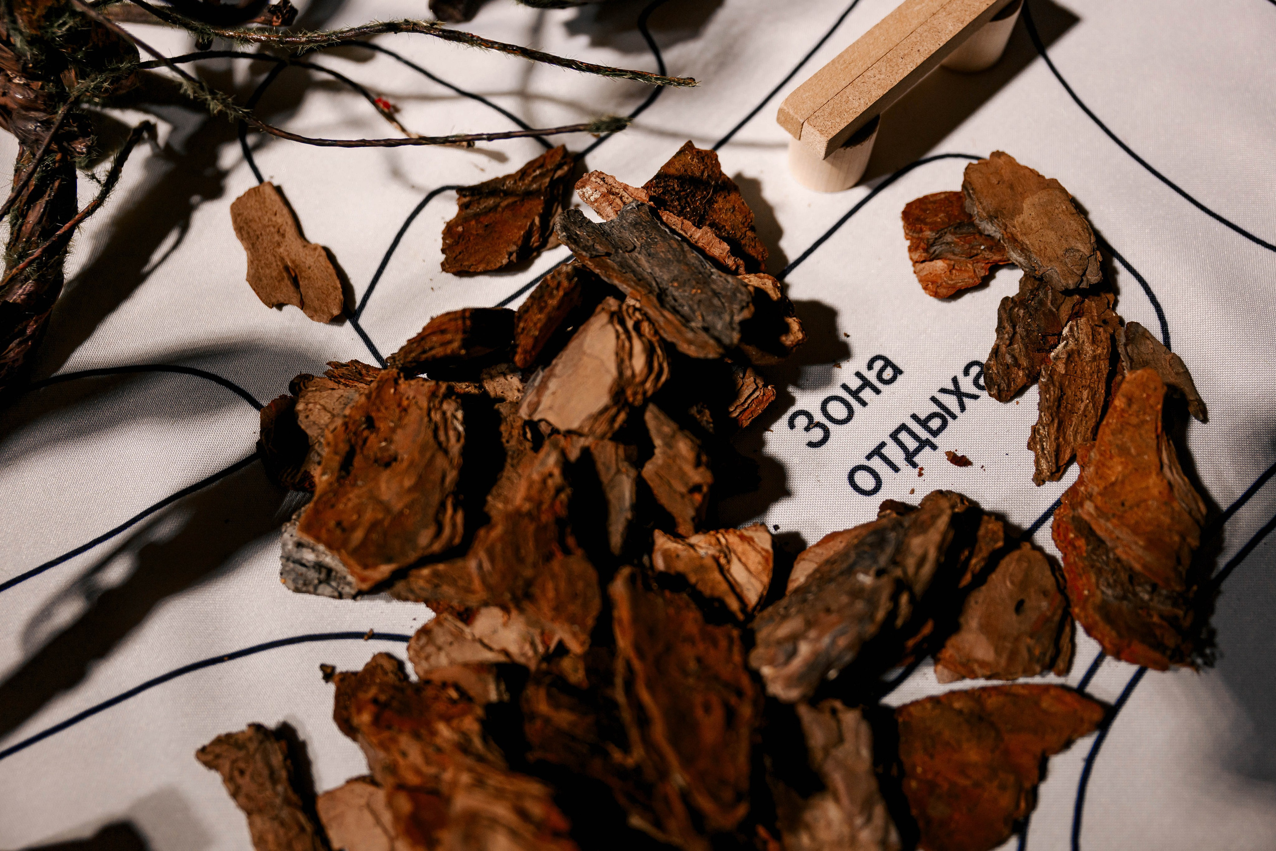 Атлас Девелопмент. Максим Комаров — Профессиональный фотограф