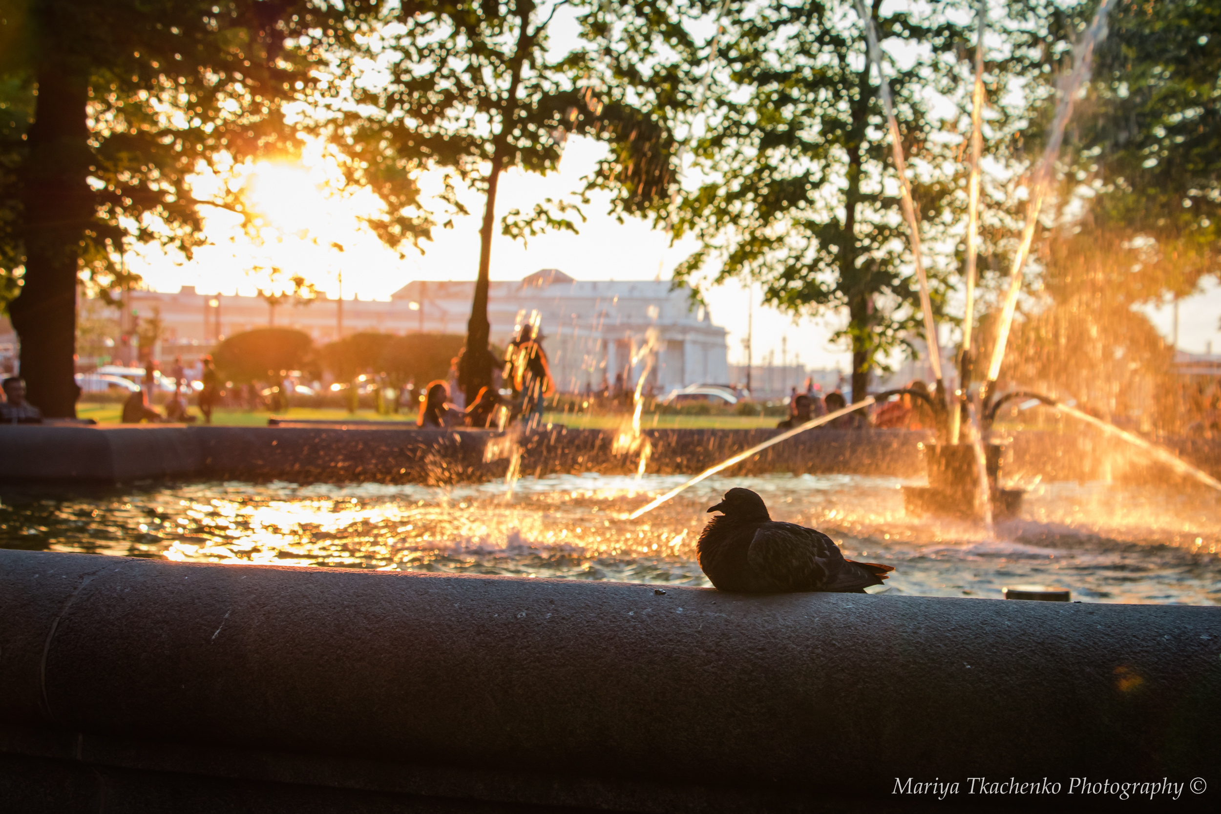 Стритфотография, фото питера, улицы питера, эрмитаж, невский проспект,. Мария Ткаченко. Документальная фотография