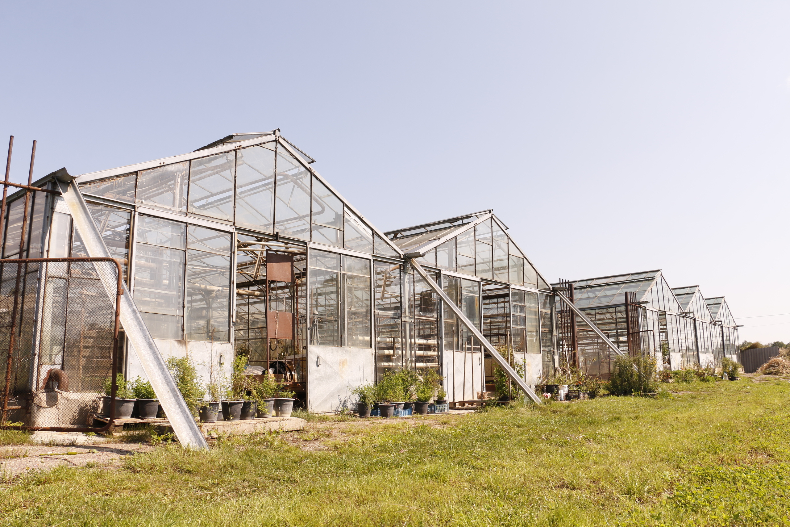 Федеральный научный центр кормопроизводства, наука, агроэкология, селе. Мария Ткаченко. Документальная фотография