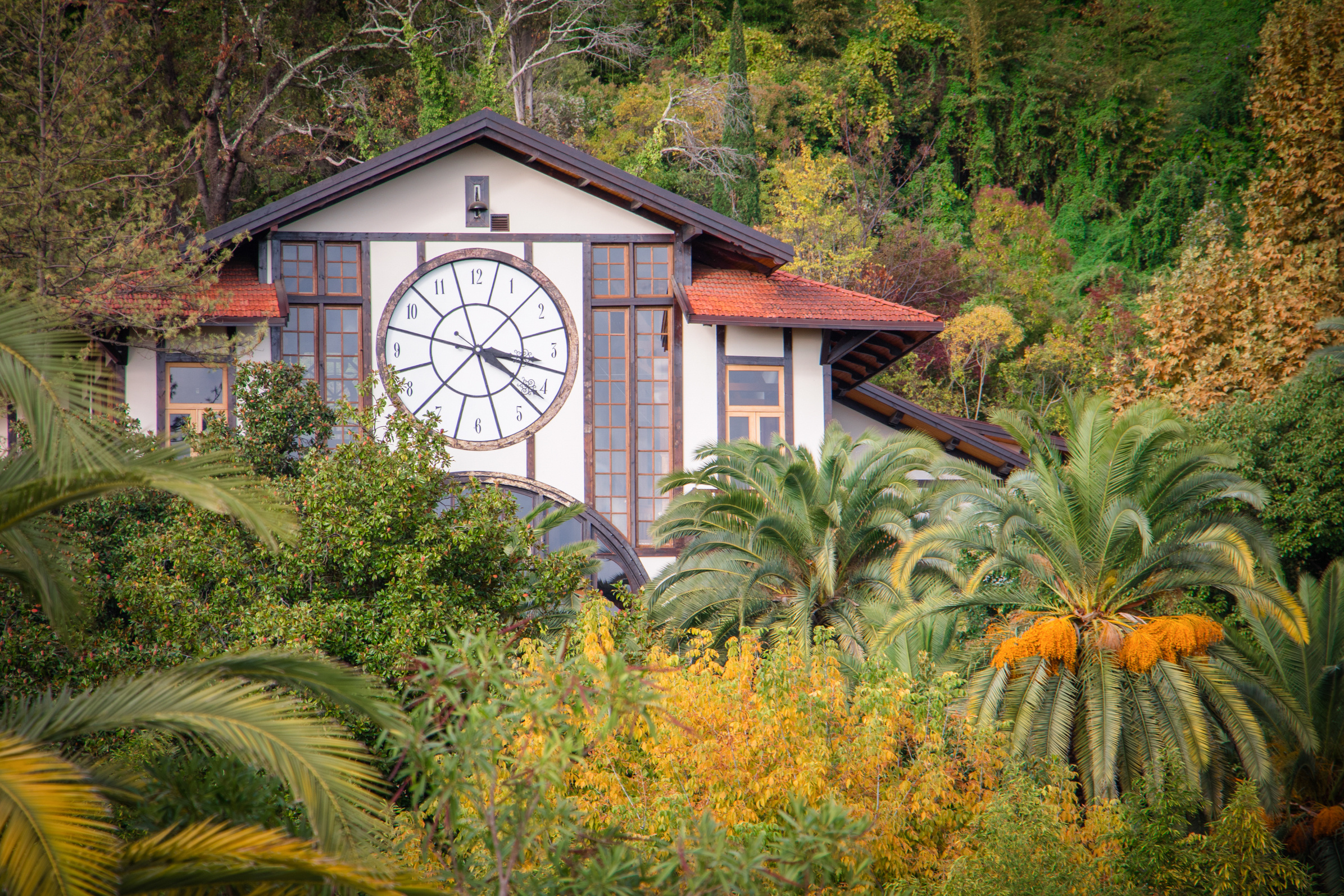 Пейзажная фотография, кавказ, природа, море, горы, фотография кавказа,. Мария Ткаченко. Документальная фотография