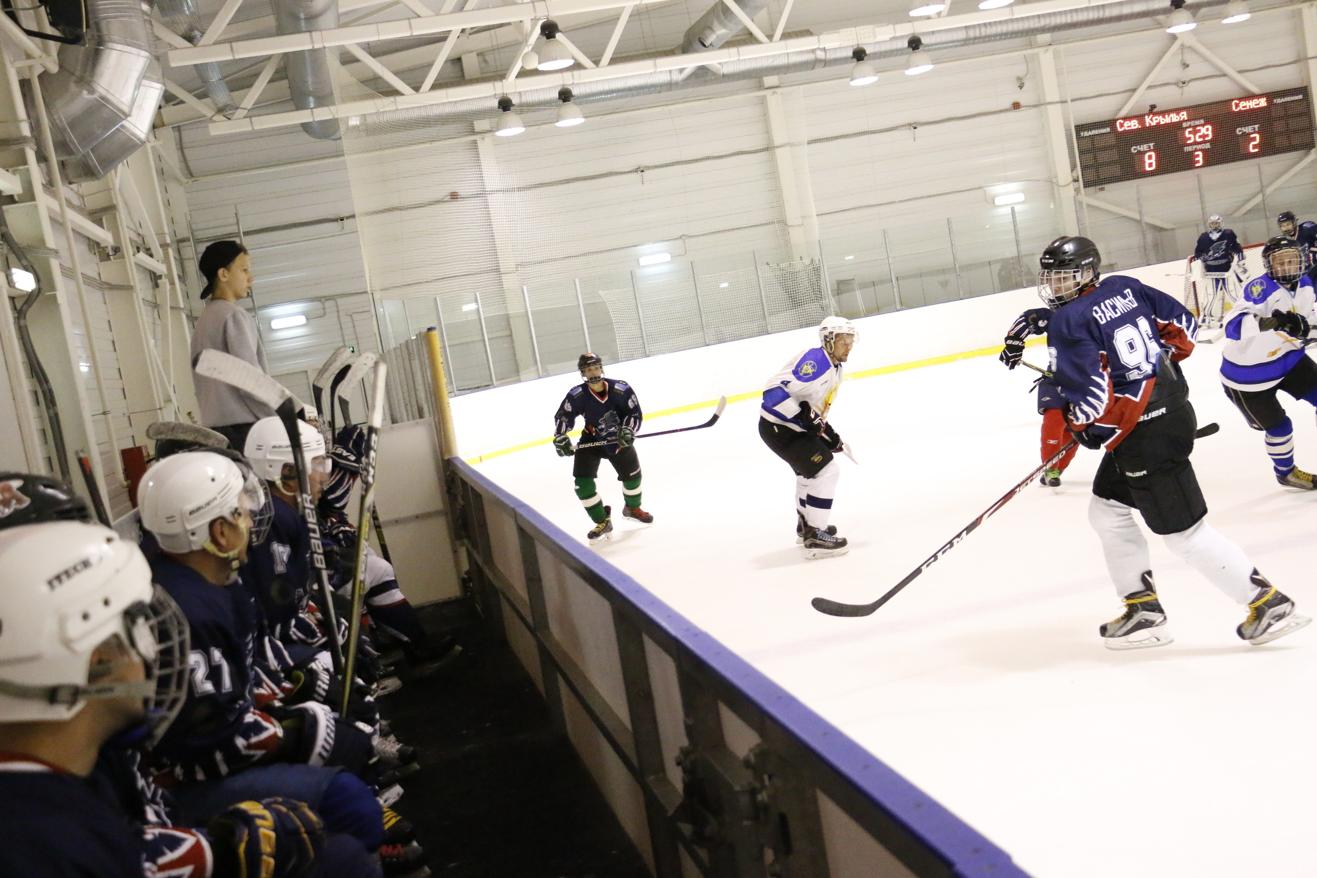 Хоккей, матч, фото хоккея, александр мостовой, ледовый дворец, евгений. Мария Ткаченко. Документальная фотография