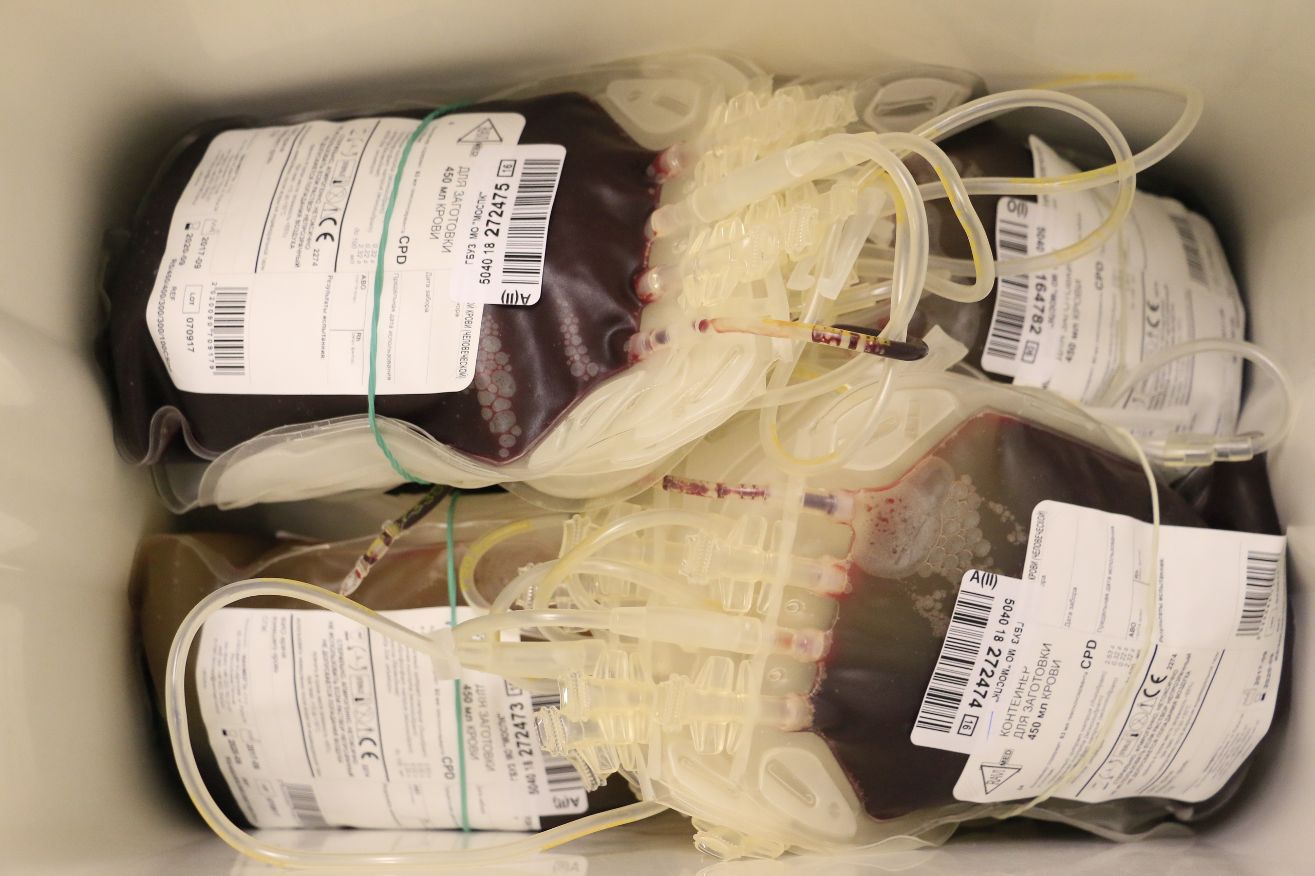 День донора, кровь, россия, всероссийский день донора, больница, прием. Мария Ткаченко. Документальная фотография