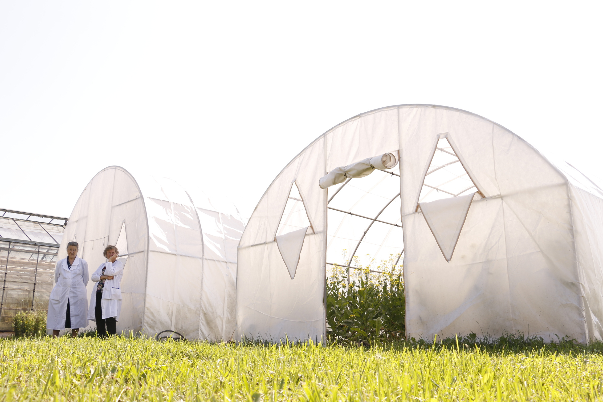 Федеральный научный центр кормопроизводства, наука, агроэкология, селе. Мария Ткаченко. Документальная фотография