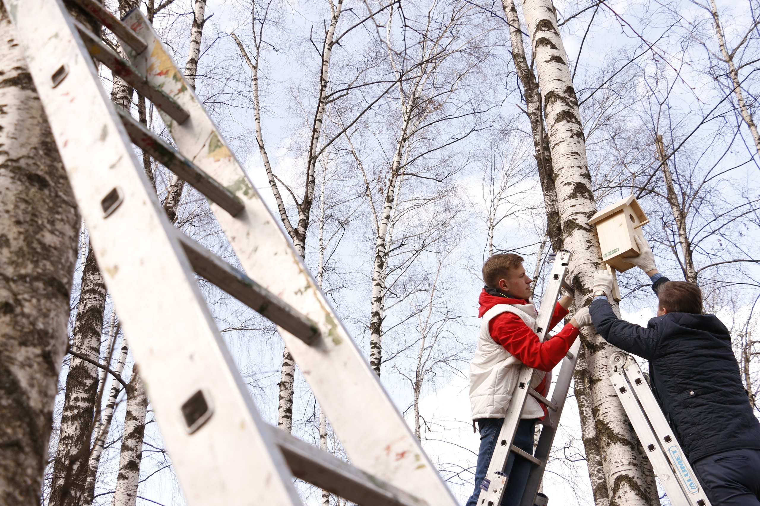 Прилет птиц, дети, экологическая акция, весна, скворечник, установка с. Мария Ткаченко. Документальная фотография