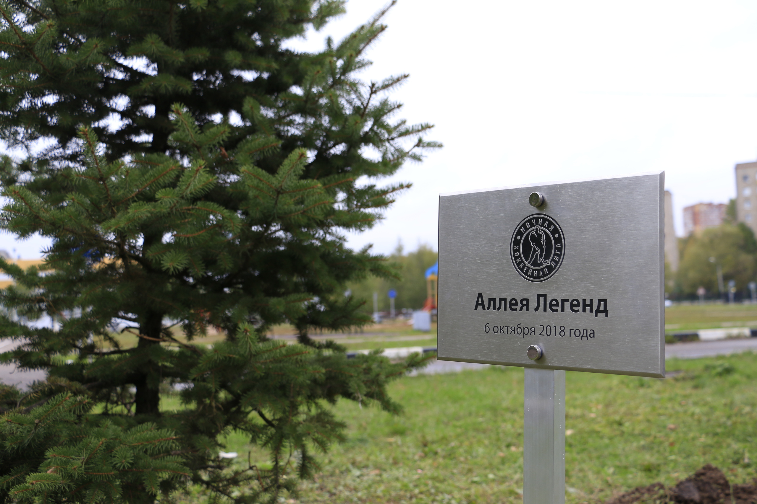 Hockey, хоккей, victor shalimov, виктор шалимов, олимпийский чемпион,. Мария Ткаченко. Документальная фотография