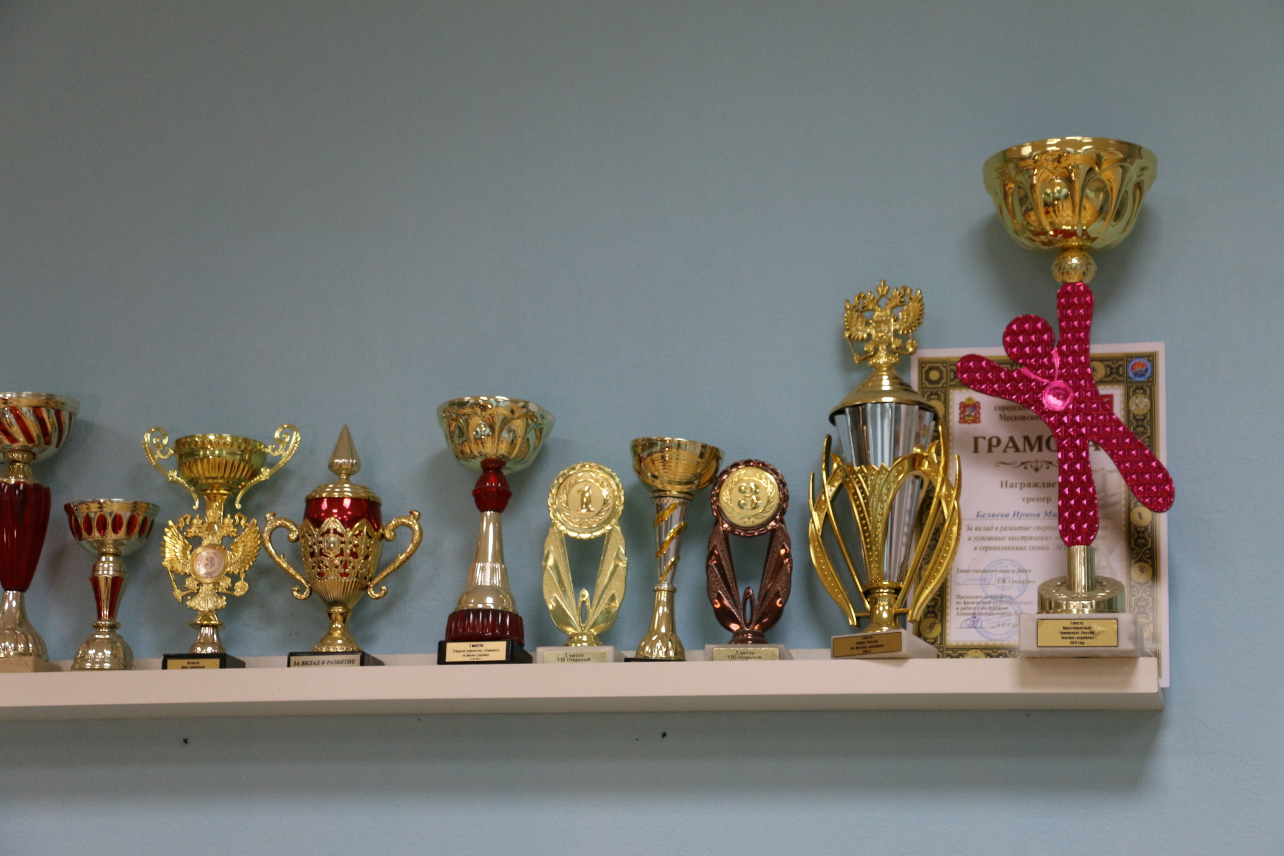 Step-aerobics, russian sport, sport team, team, аэробика, чайка. Мария Ткаченко. Документальная фотография