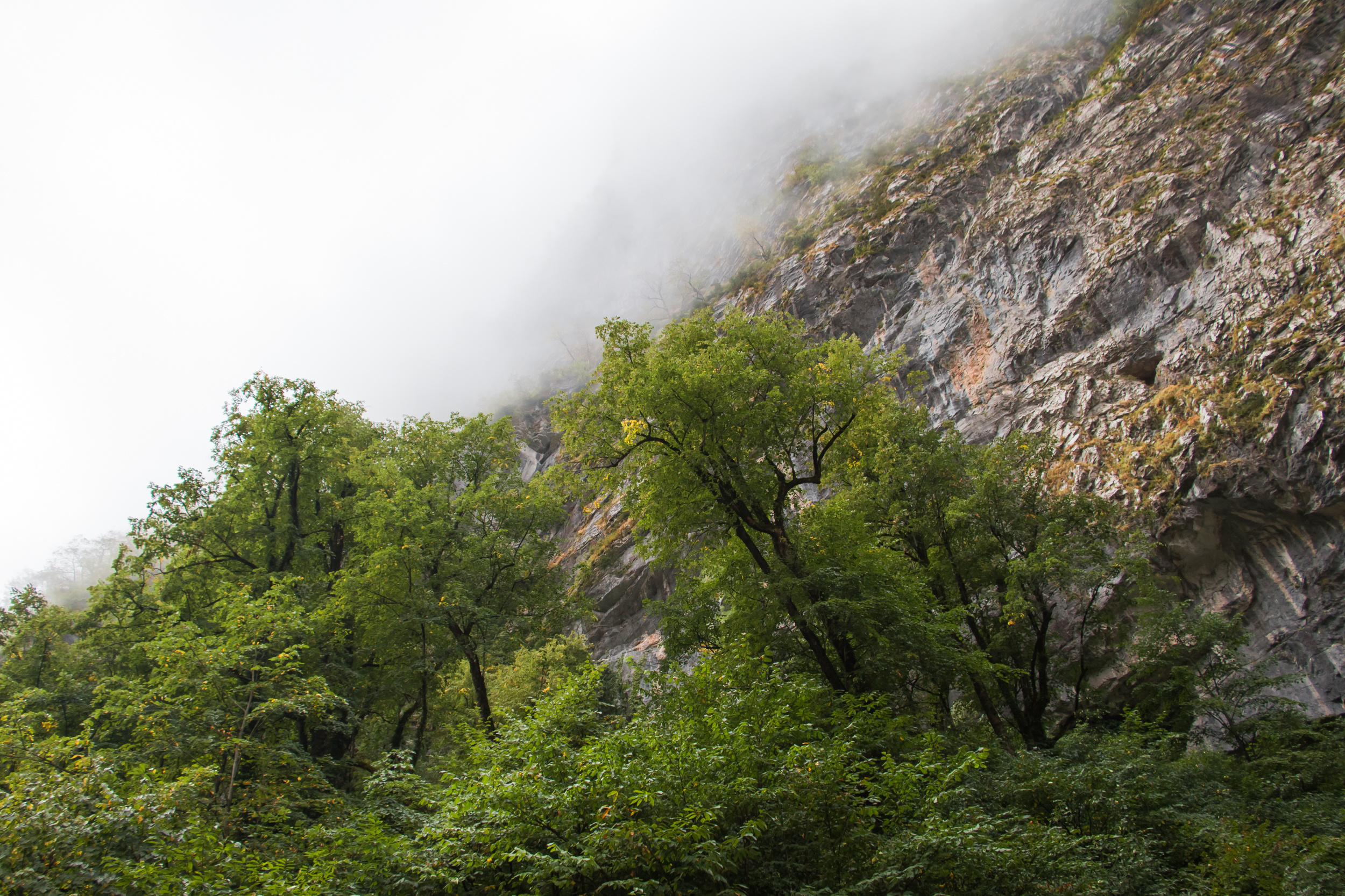 Пейзажная фотография, кавказ, природа, море, горы, фотография кавказа,. Мария Ткаченко. Документальная фотография