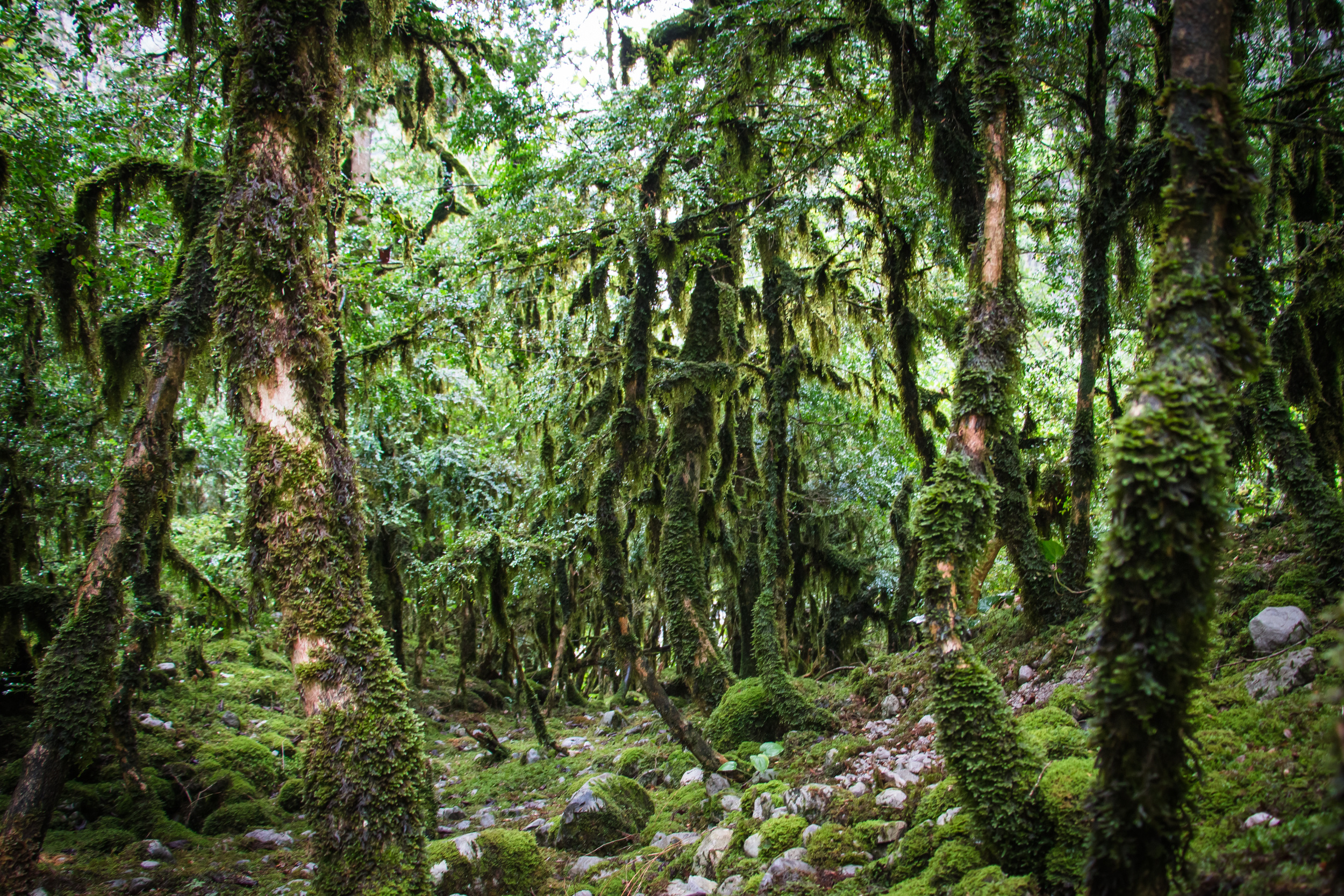 Пейзажная фотография, кавказ, природа, море, горы, фотография кавказа,. Мария Ткаченко. Документальная фотография