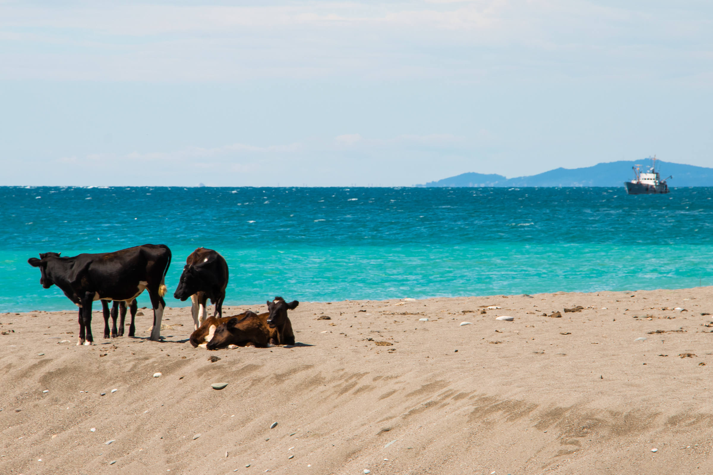 Пейзажная фотография, кавказ, природа, море, горы, фотография кавказа,. Мария Ткаченко. Документальная фотография