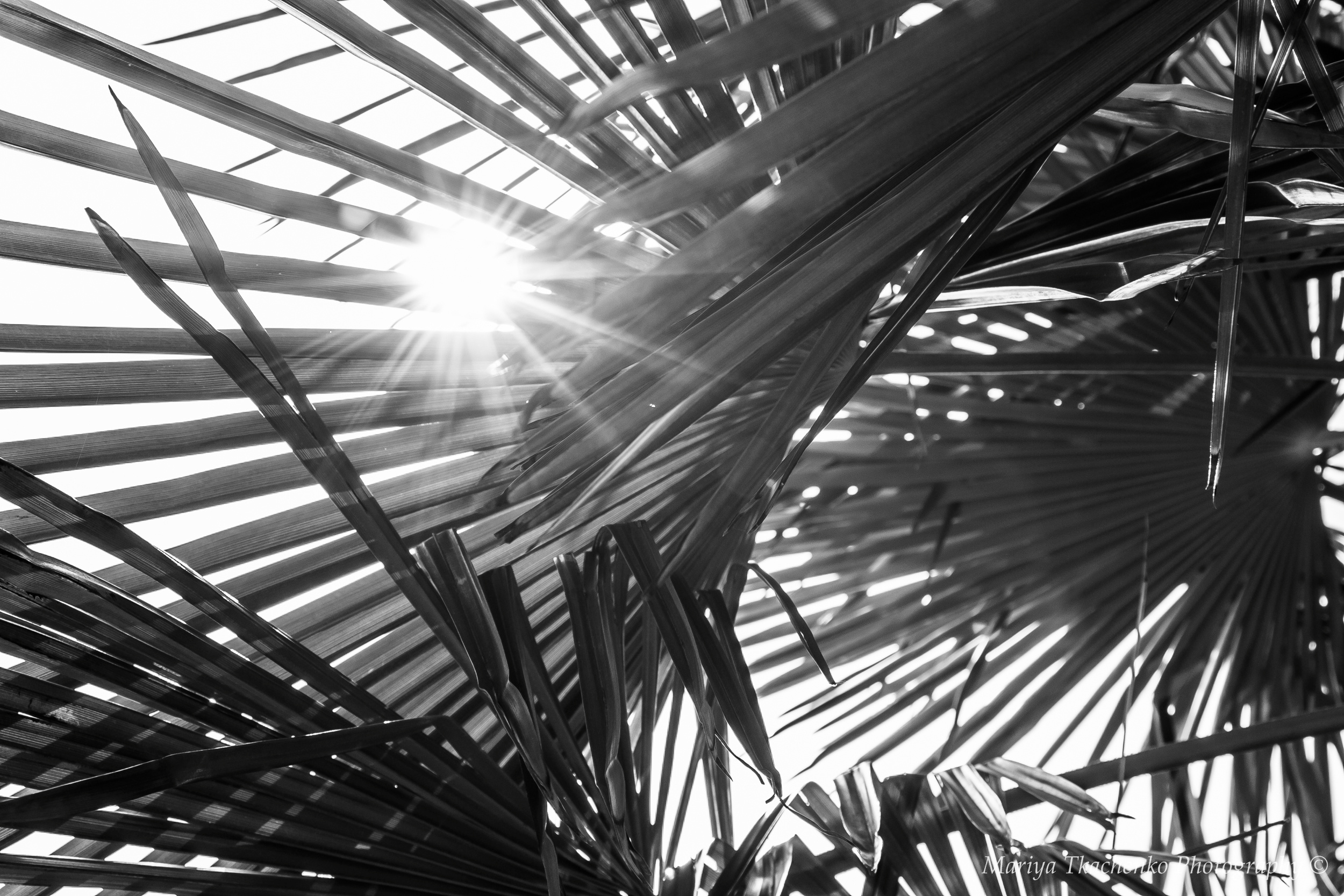 Пейзажи крыма, пейзажная фотография, ландшафт, южный крым, фотография,. Мария Ткаченко. Документальная фотография