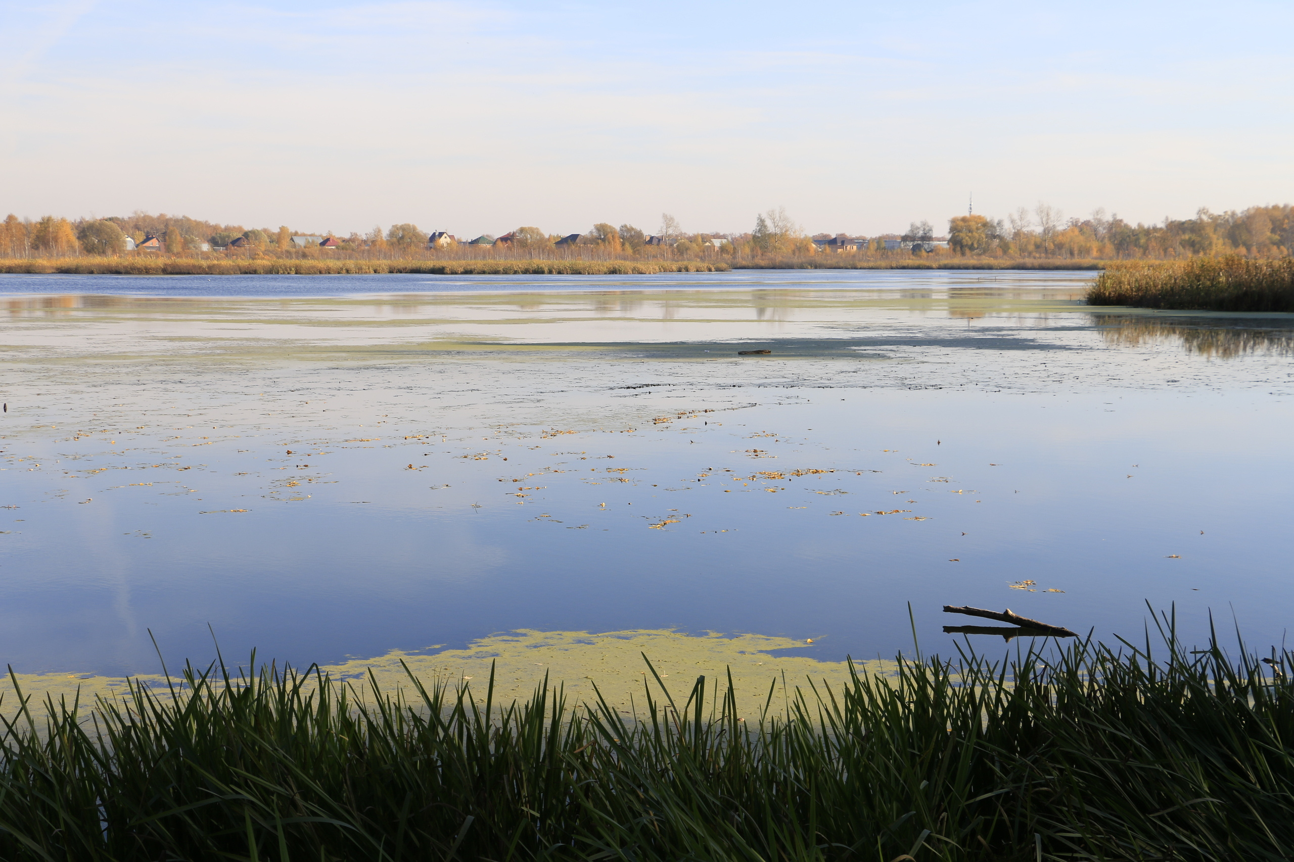 Благоустройство, строительство, субботник экология, посадка деревьев,. Мария Ткаченко. Документальная фотография