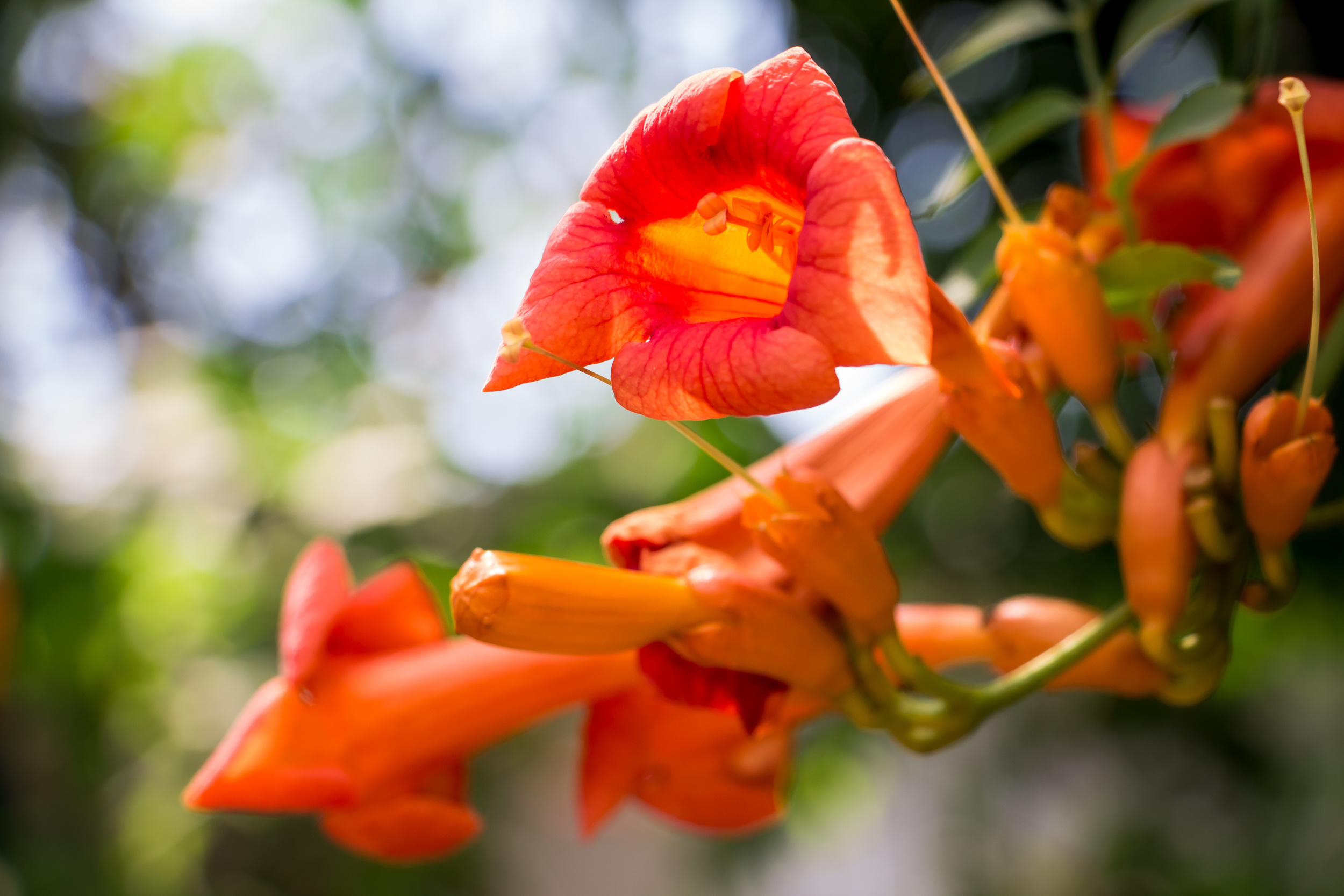 Пейзажная фотография, кавказ, природа, море, горы, фотография кавказа,. Мария Ткаченко. Документальная фотография