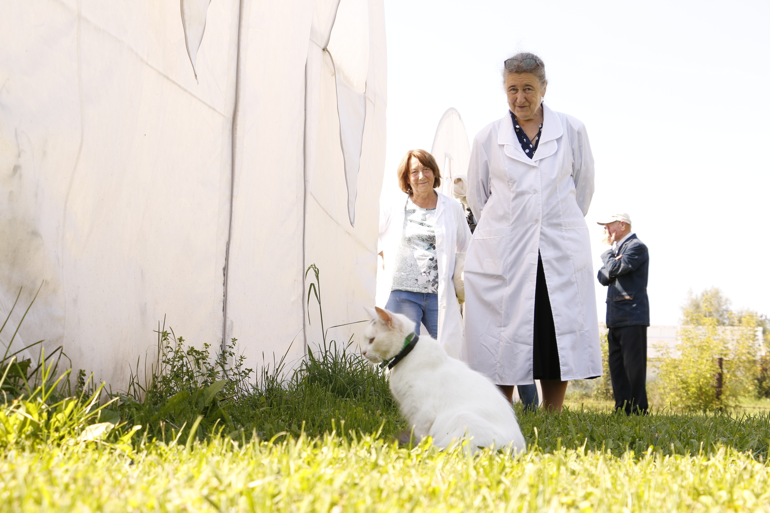 Федеральный научный центр кормопроизводства, наука, агроэкология, селе. Мария Ткаченко. Документальная фотография