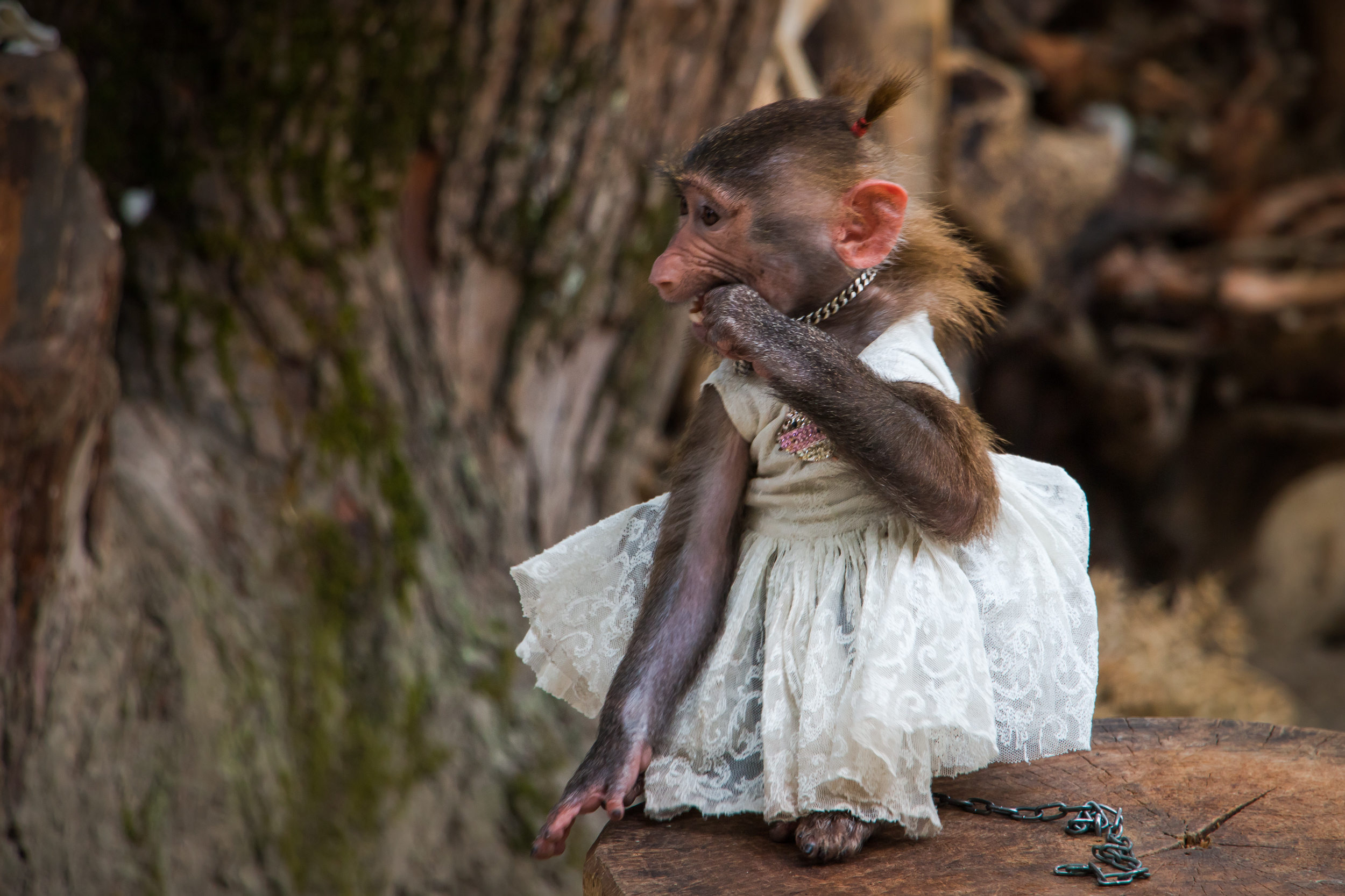 Пейзажная фотография, кавказ, природа, море, горы, фотография кавказа,. Мария Ткаченко. Документальная фотография