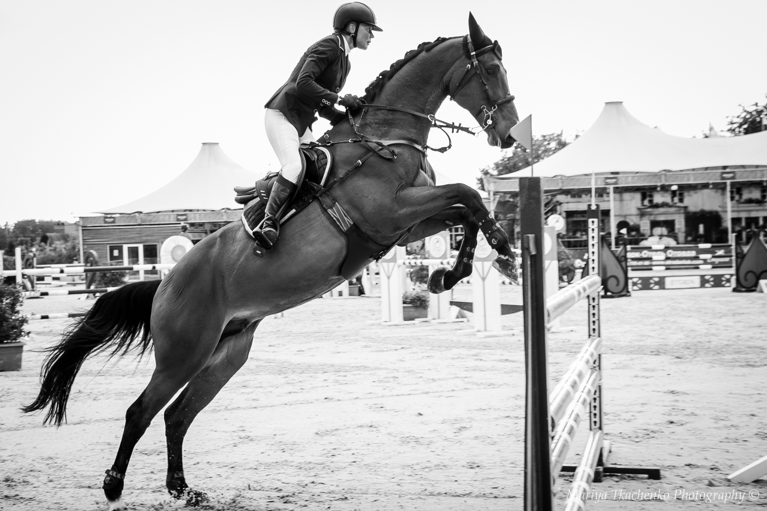 Конные соревнования, конкур, перепрыжка, фотосъмка лошадей, кони, конн. Мария Ткаченко. Документальная фотография