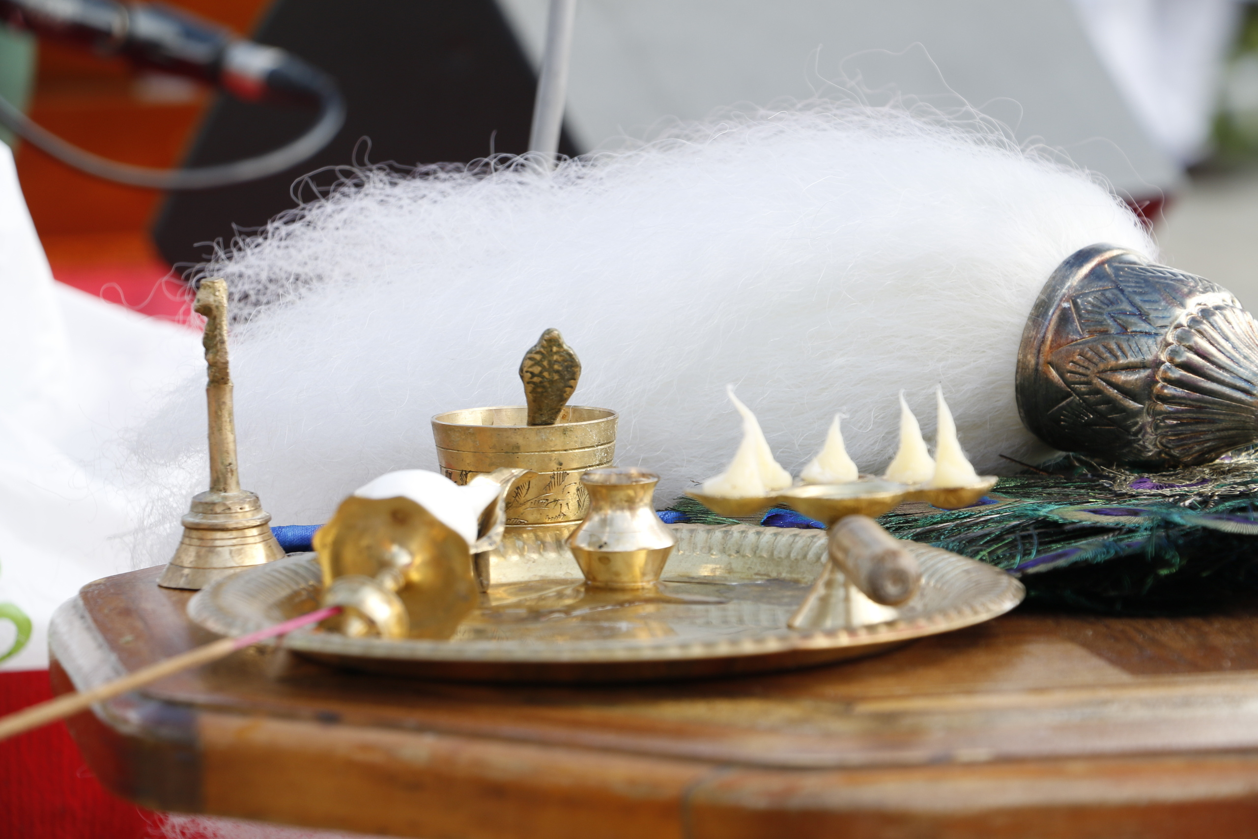 India, day of india, день индии индия, традиции индии, индийский танец. Мария Ткаченко. Документальная фотография