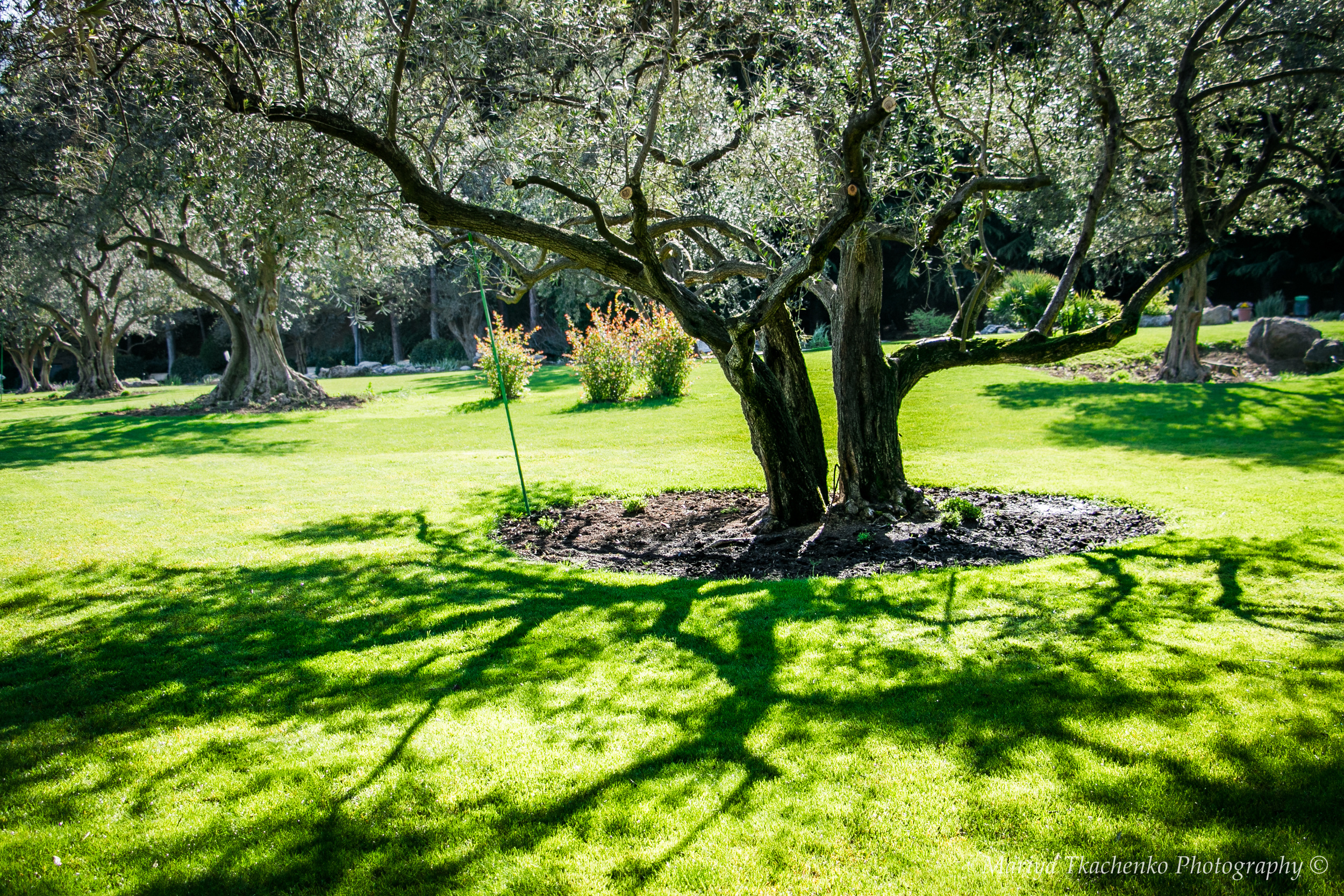 Пейзажи крыма, пейзажная фотография, ландшафт, южный крым, фотография,. Мария Ткаченко. Документальная фотография