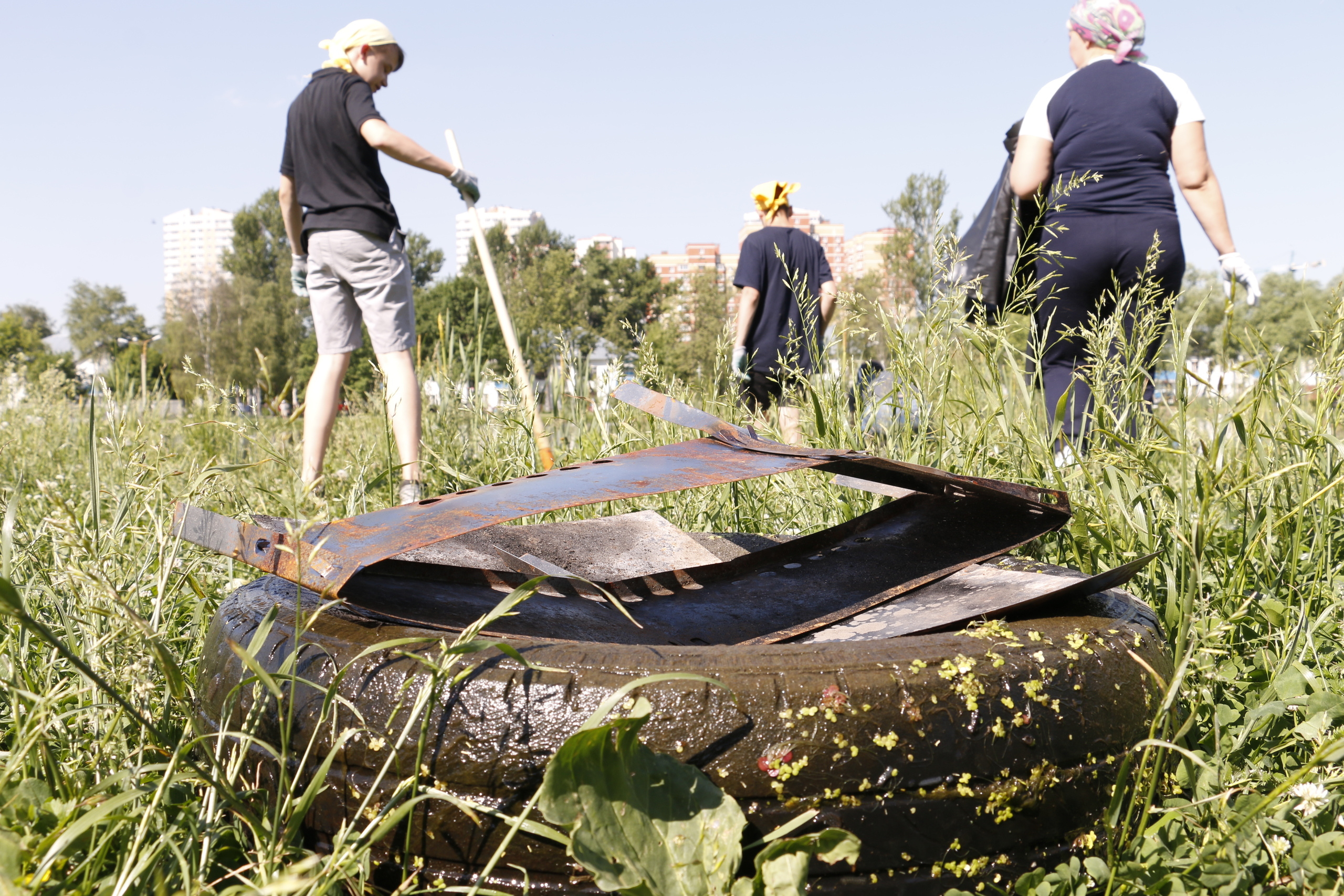 Благоустройство, строительство, субботник экология, посадка деревьев,. Мария Ткаченко. Документальная фотография