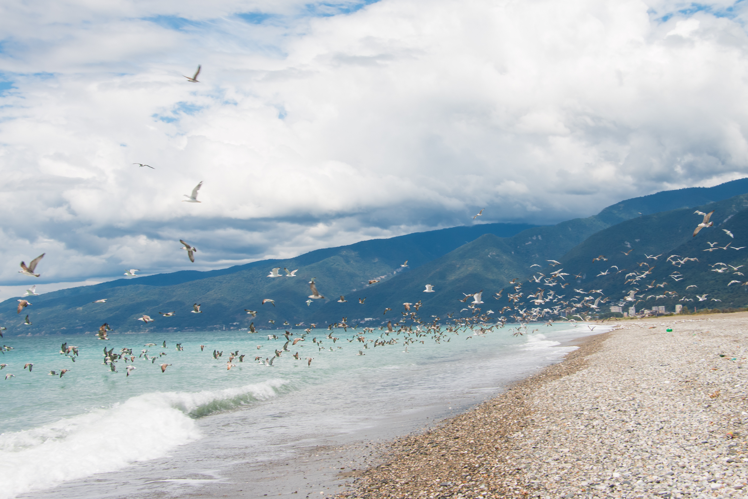 Пейзажная фотография, кавказ, природа, море, горы, фотография кавказа,. Мария Ткаченко. Документальная фотография