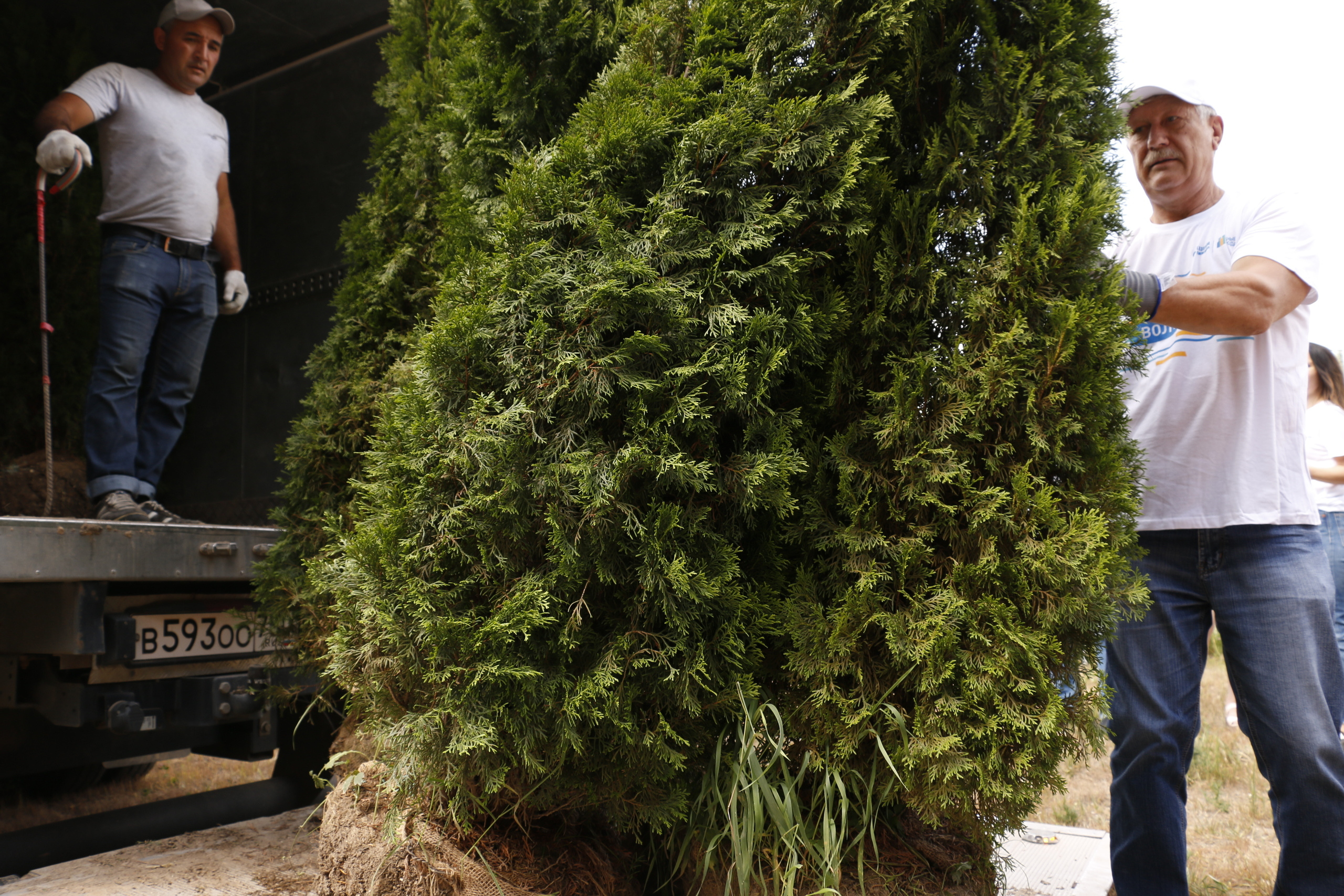 Благоустройство, строительство, субботник экология, посадка деревьев,. Мария Ткаченко. Документальная фотография