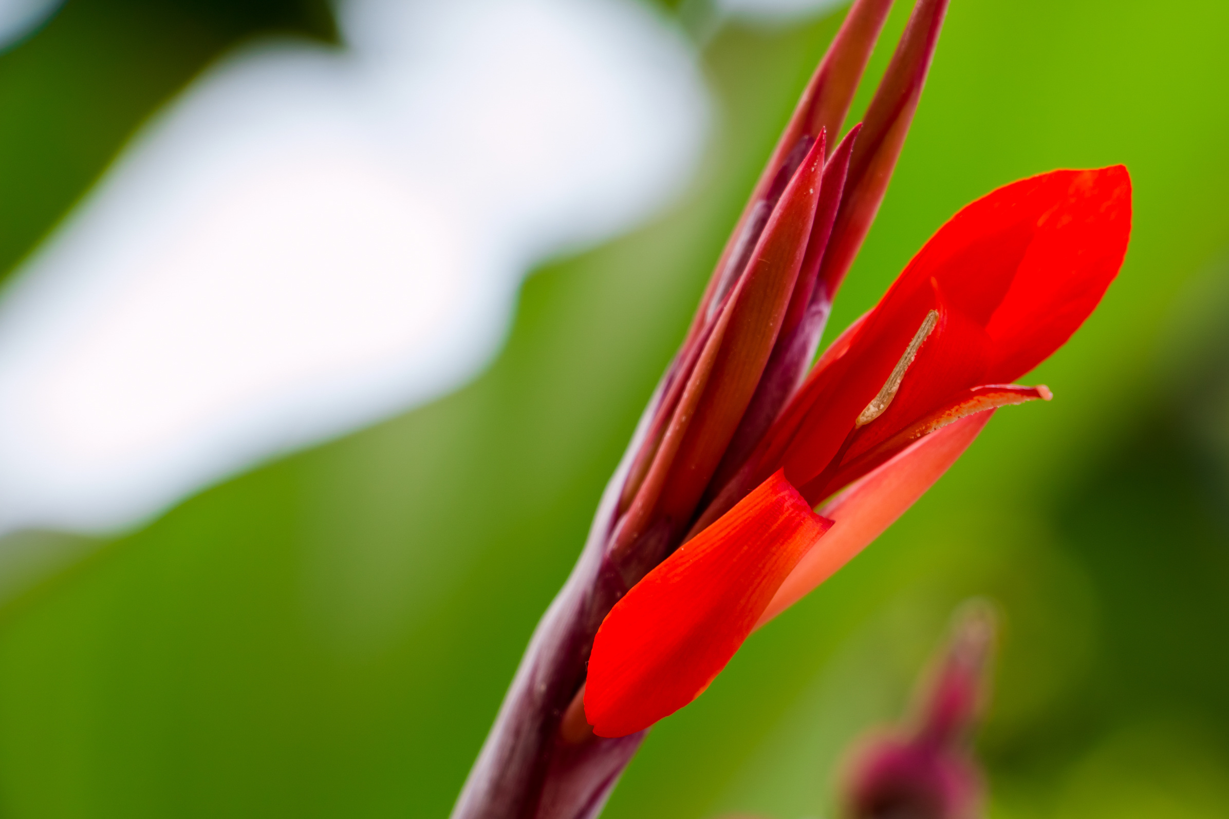 Пейзажная фотография, кавказ, природа, море, горы, фотография кавказа,. Мария Ткаченко. Документальная фотография